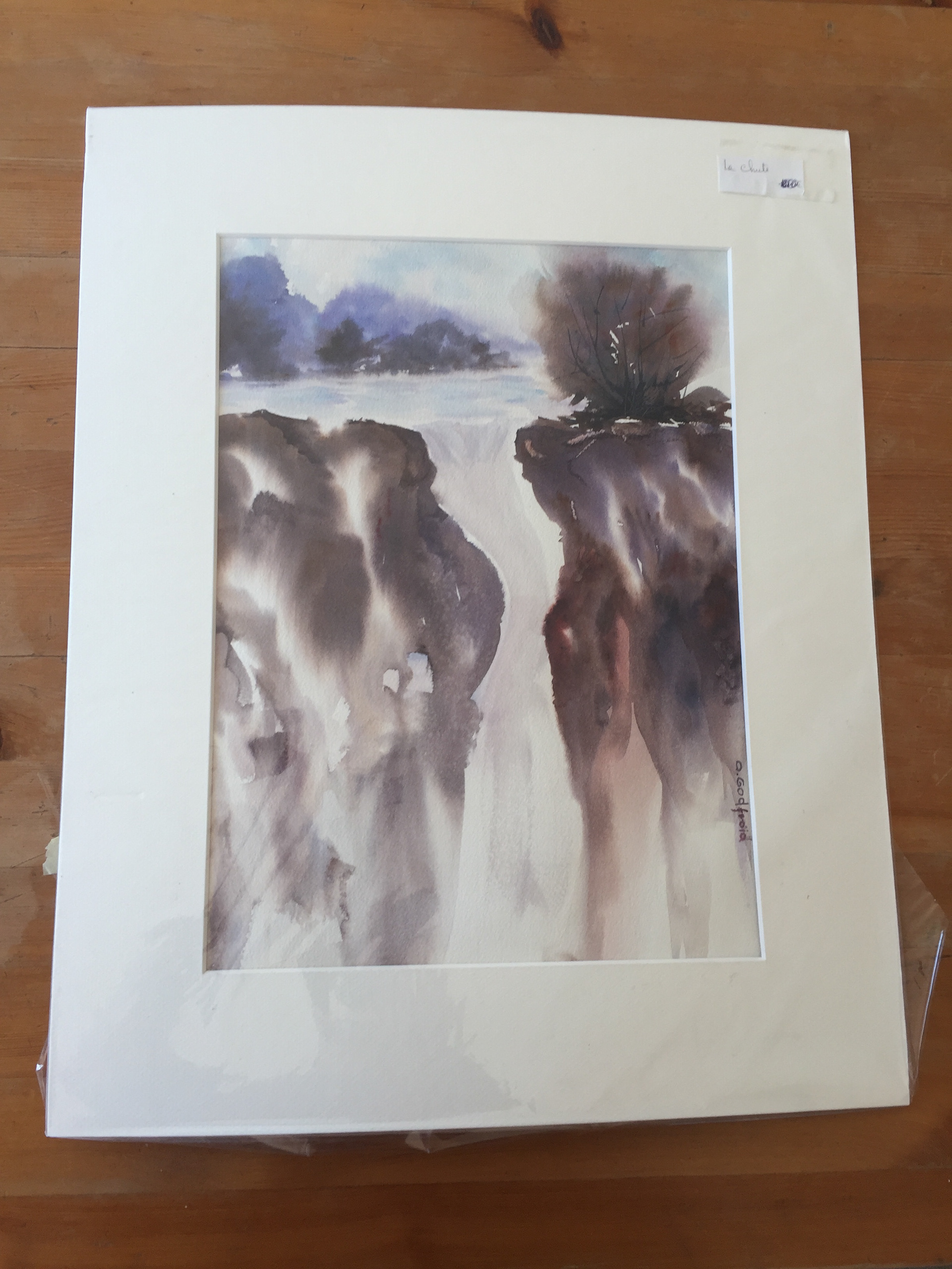 "La chute". prix 12 €