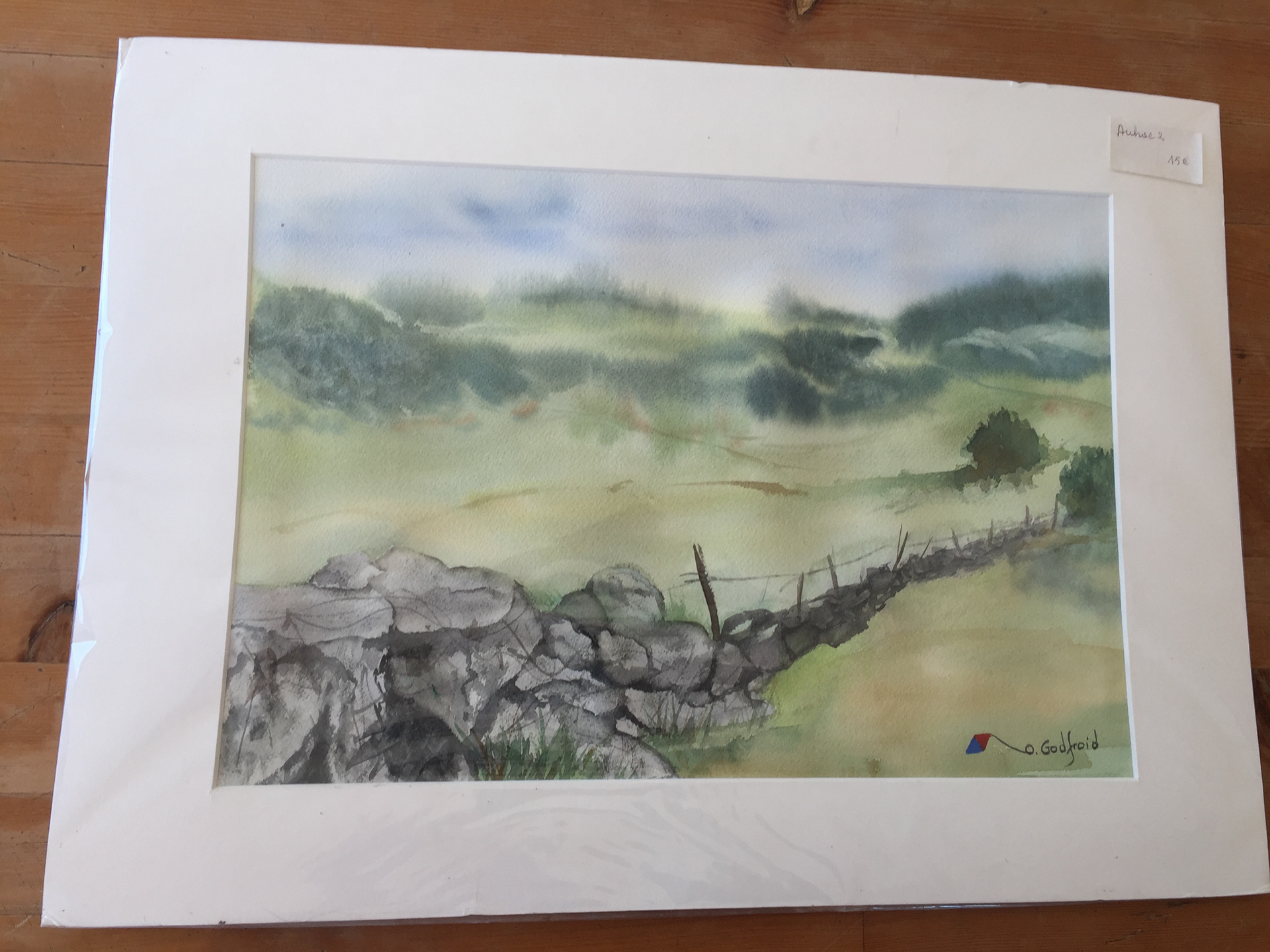 "Paysage verdoyant". prix 14 €