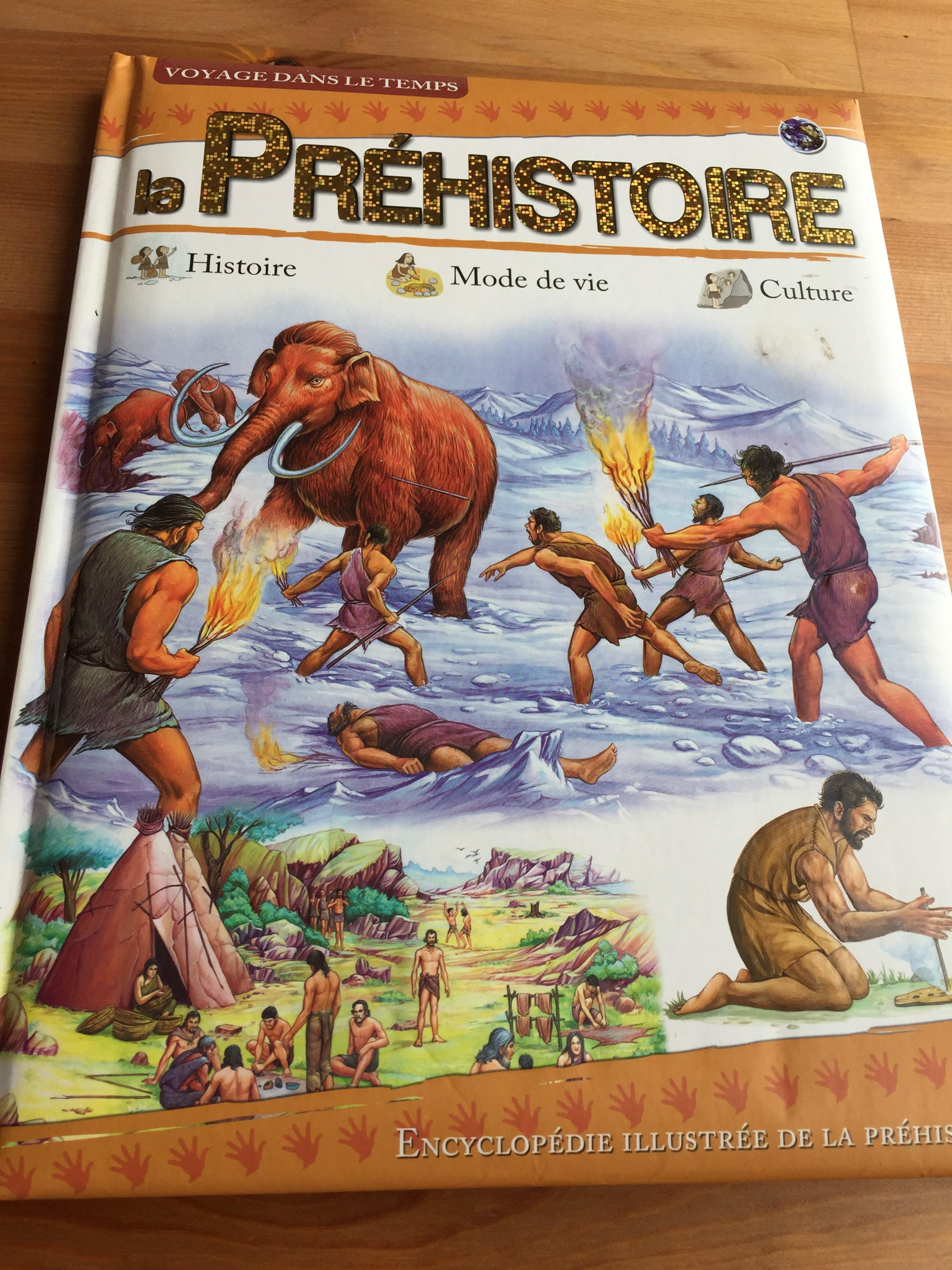 REF 6 /7 nr 7 - 3 €