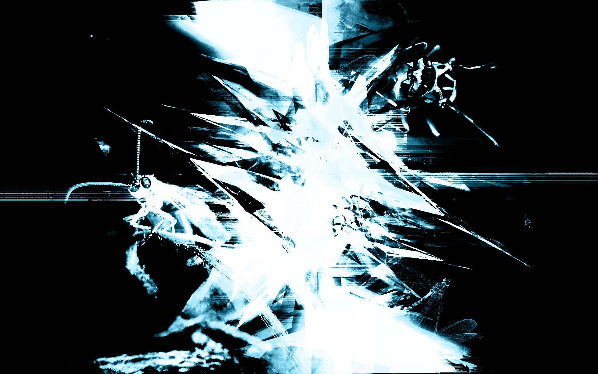 Force of Naature (2003)