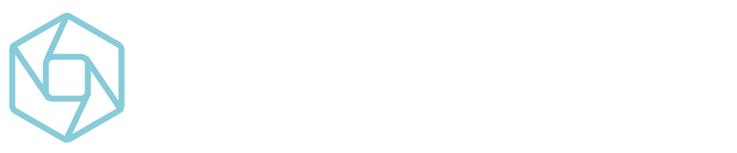 Mafalda Vassalo Ribeiro