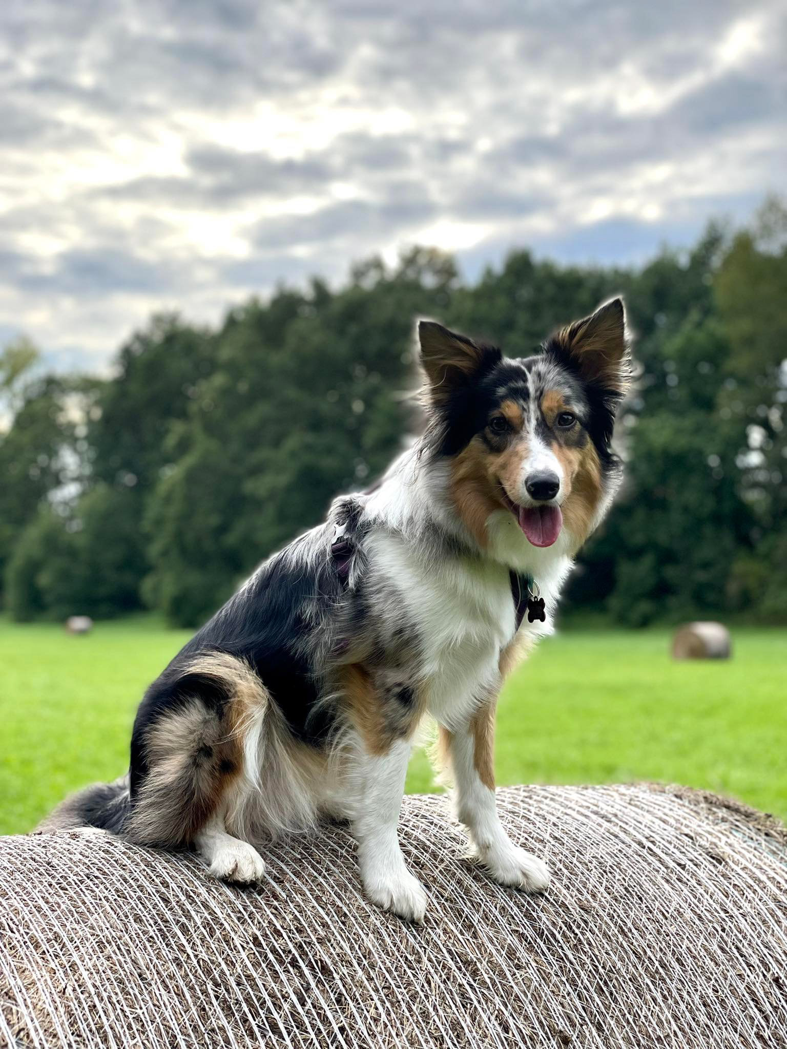 Foto: Lenka Hinzeová