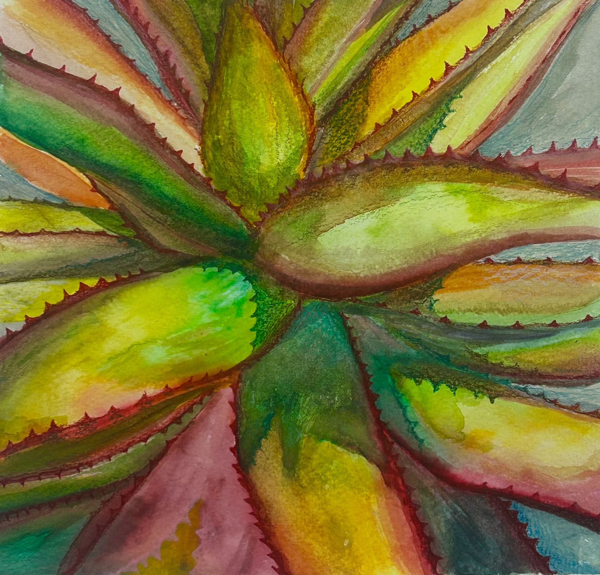 Watercolor and colored pencil on paper. 