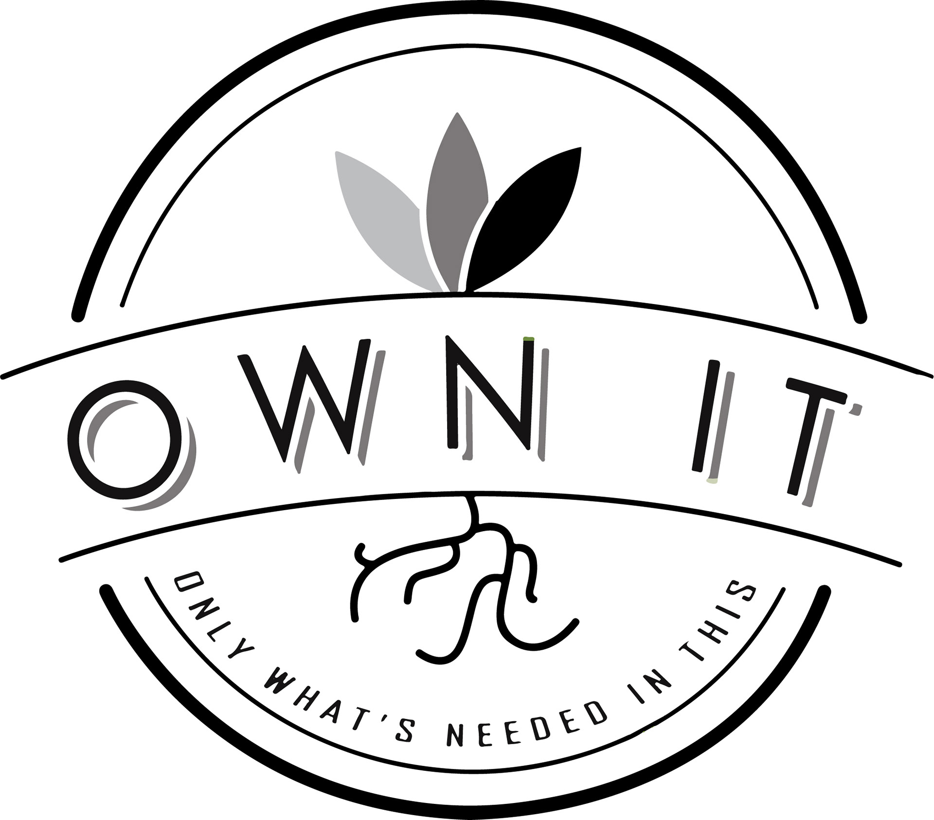 Own It Logo Design