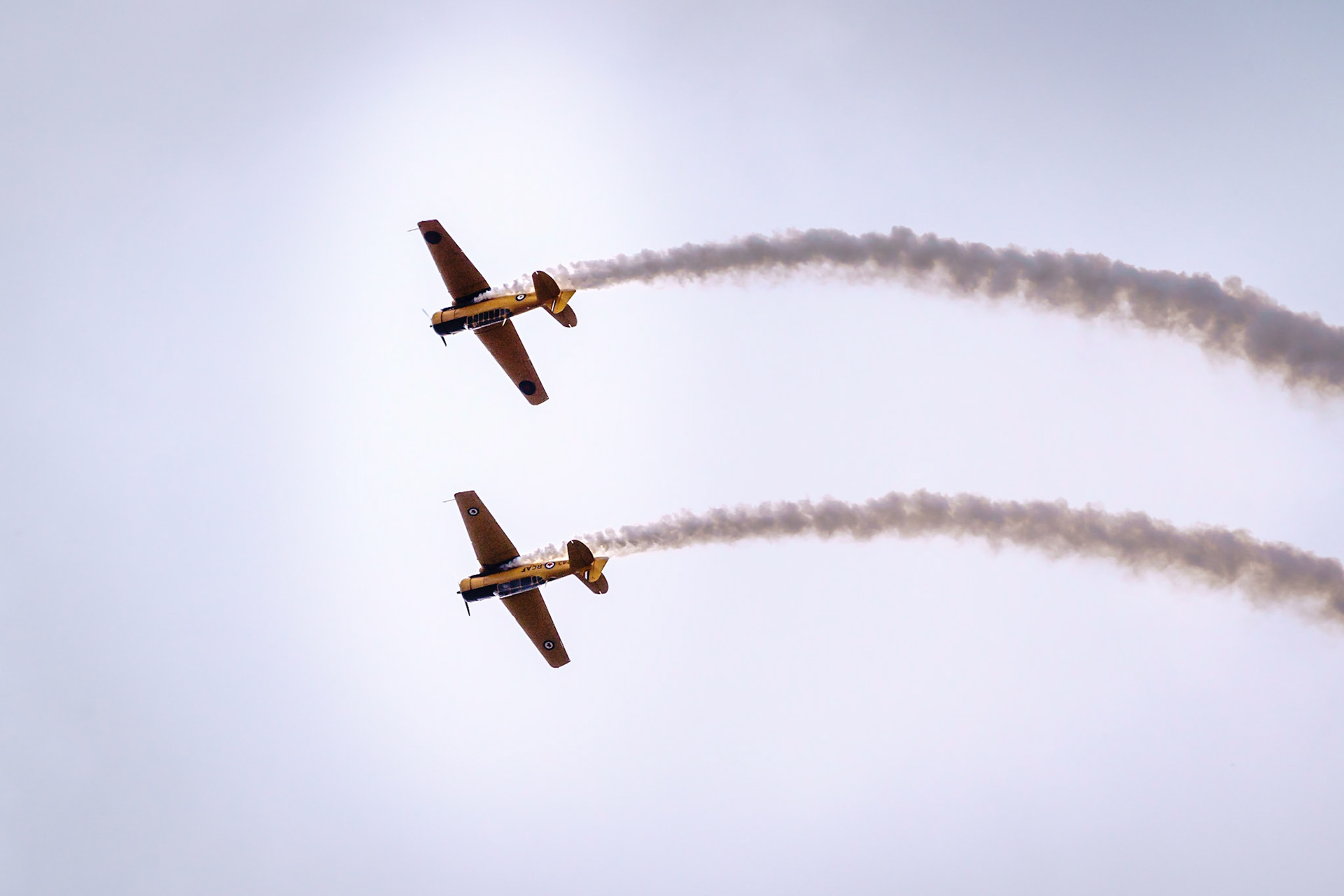 Yellow Thunder - Harvard