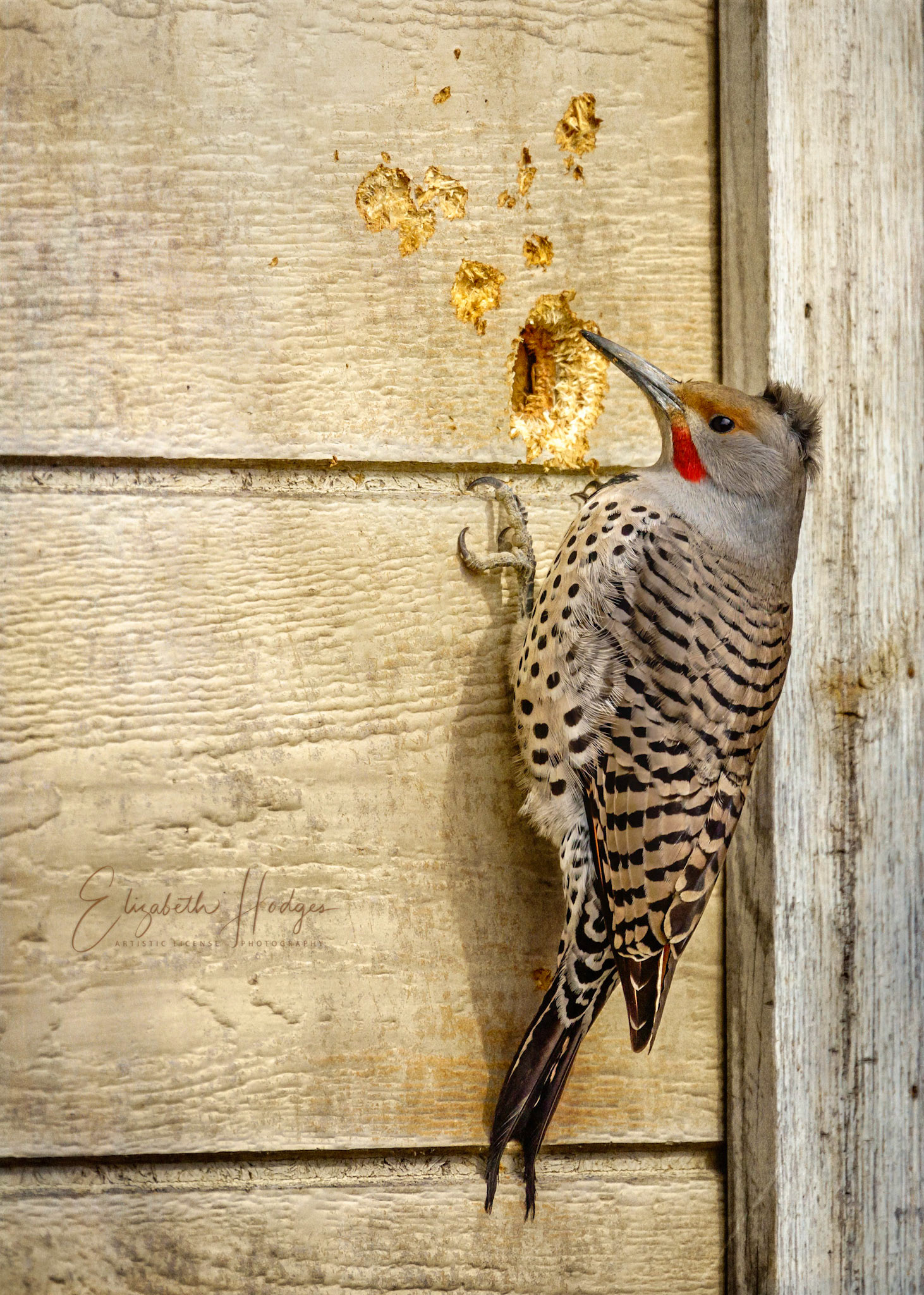Determined Flicker