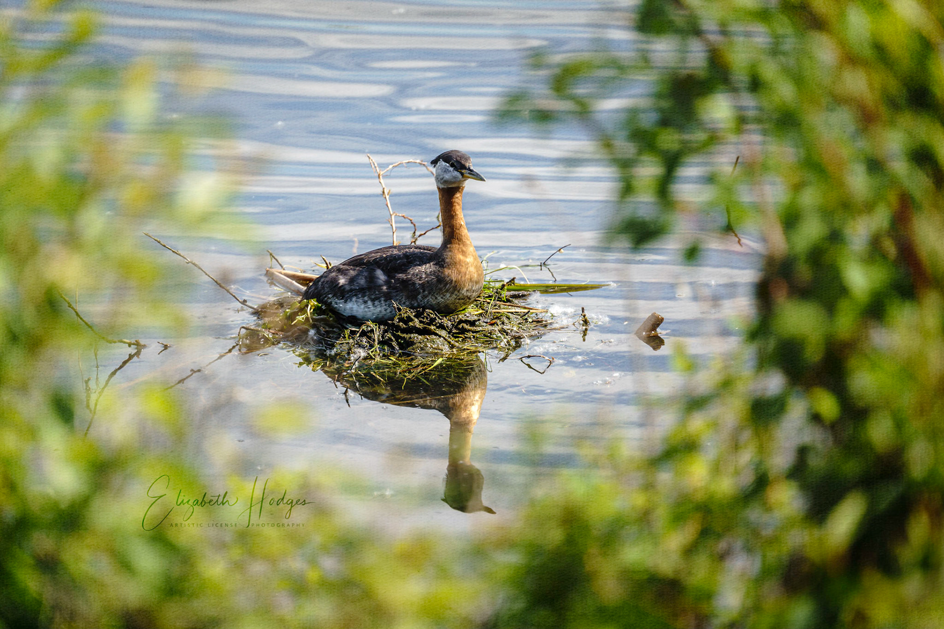 Nesting
