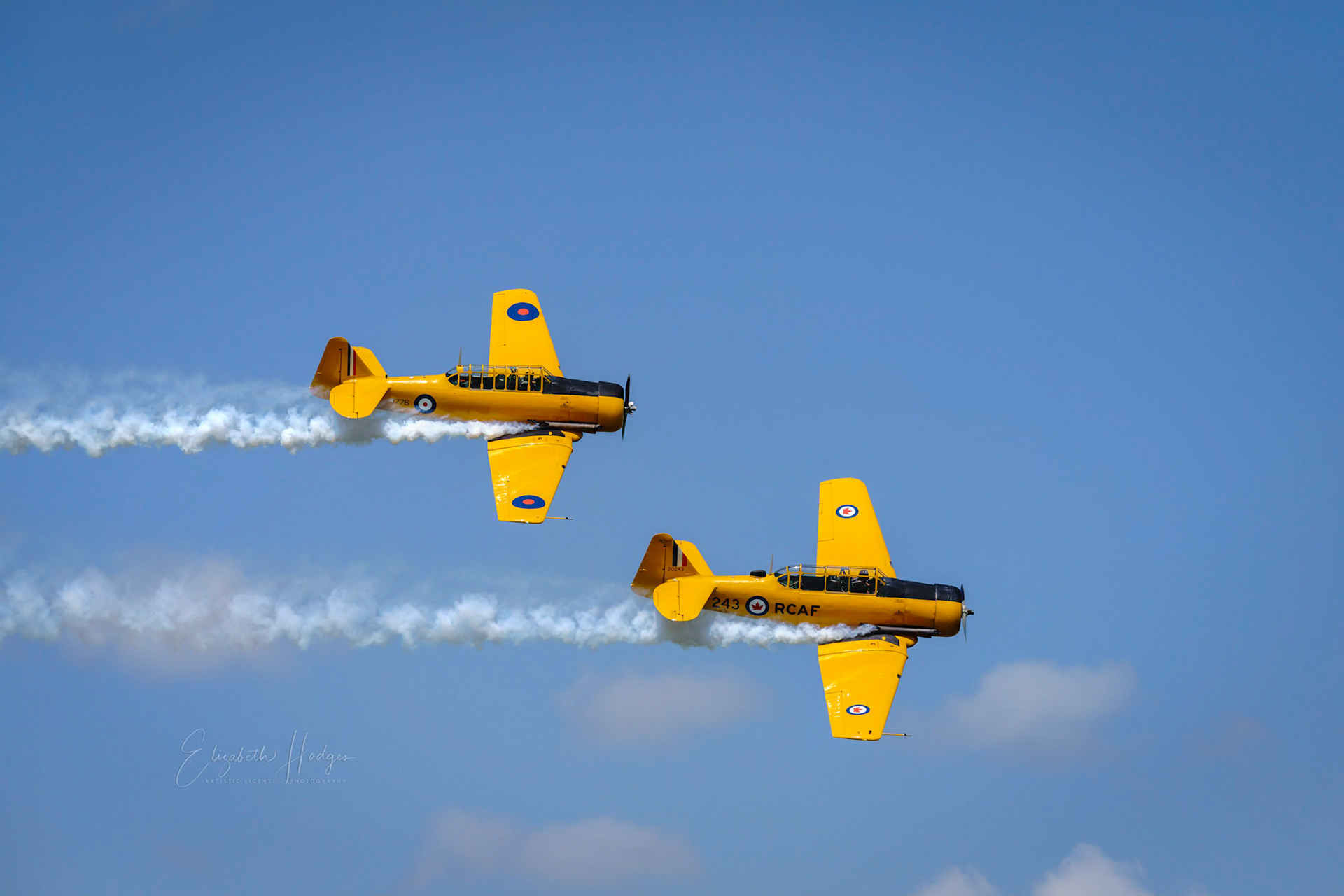 Yellow Thunder AT-6 Texan