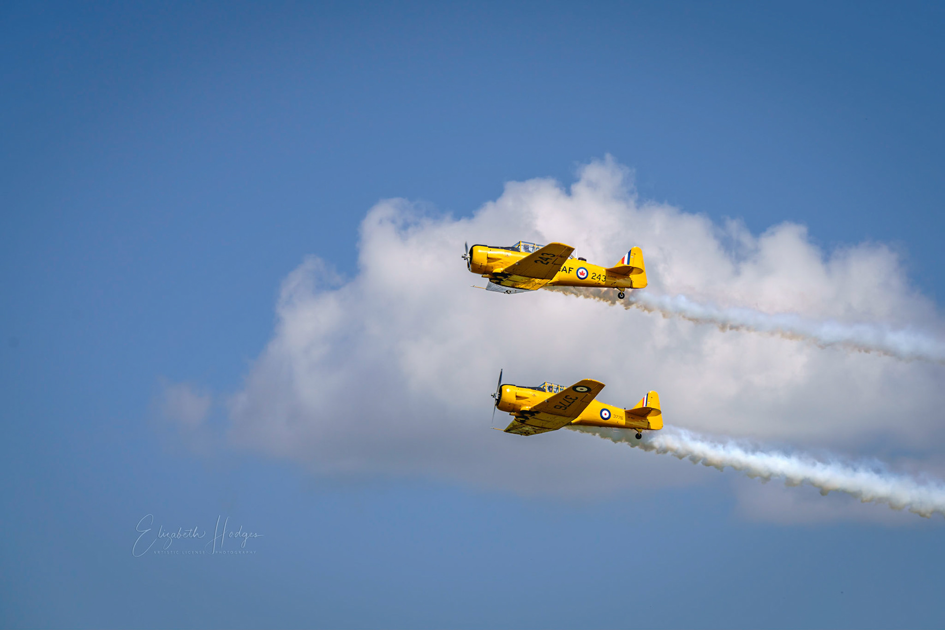Yellow Thunder AT-6 Texan