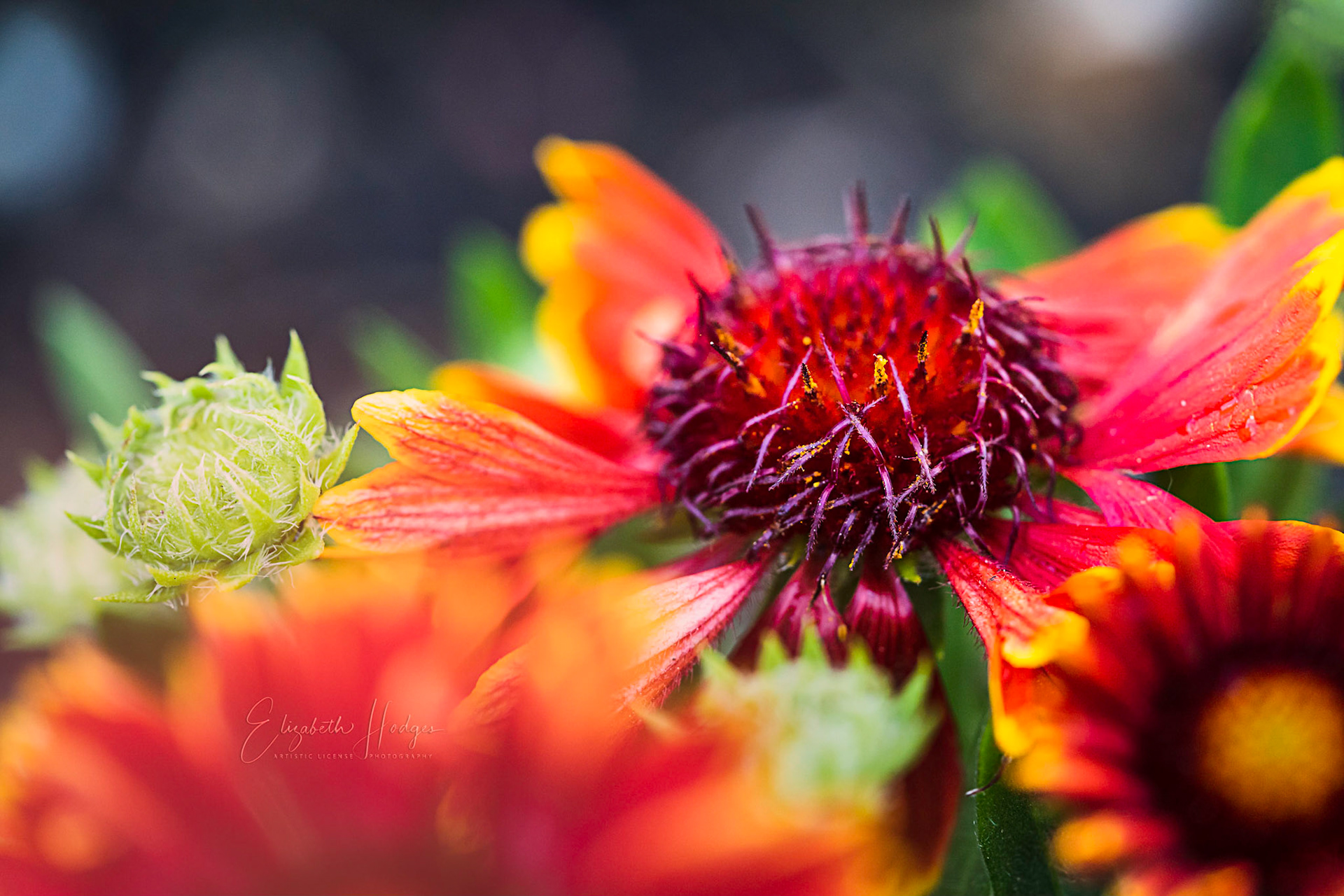 Hope the sun is shining on you wherever you are today. Enjoy your weekend!