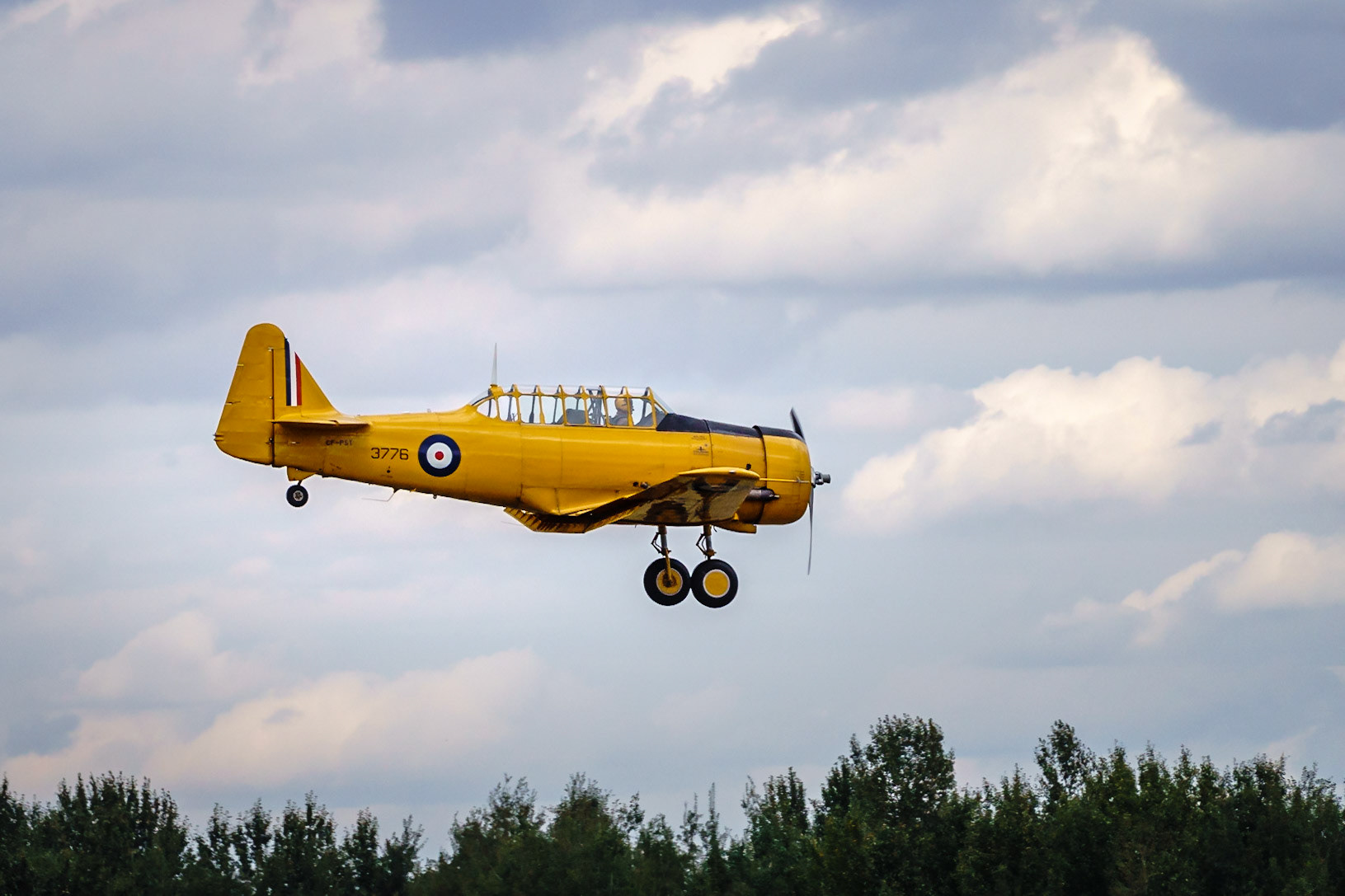Yellow Thunder - Harvard