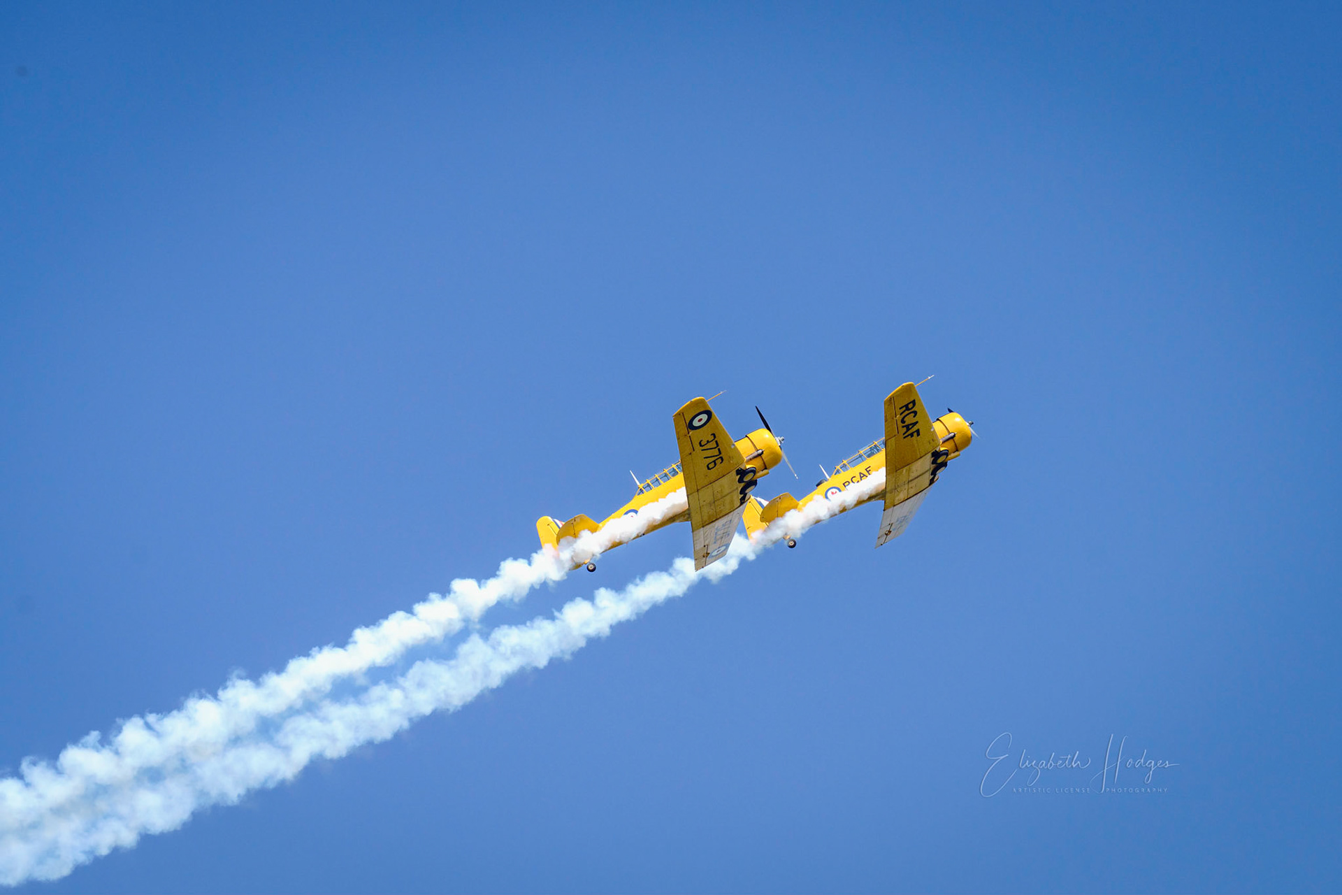 Yellow Thunder AT-6 Texan