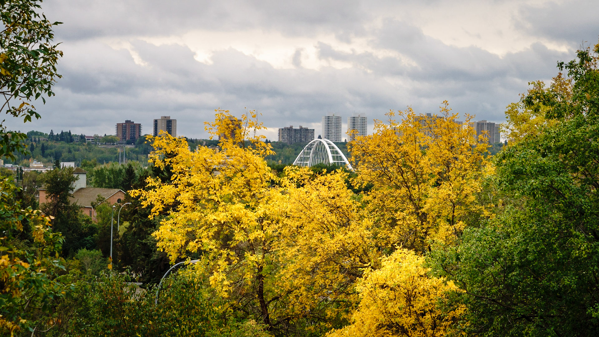 Fall foliage along the river bank and the Walterdale Bridge
