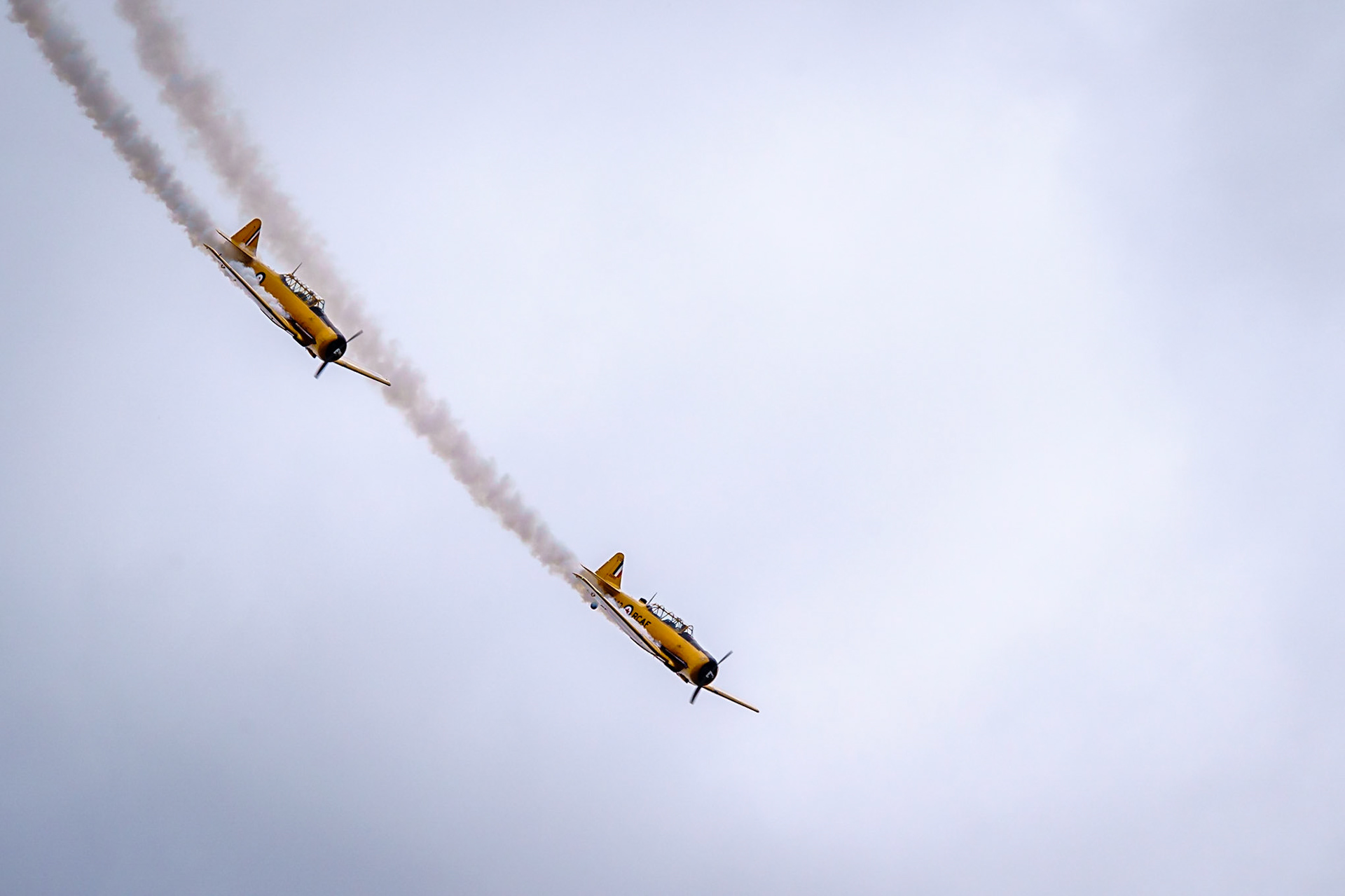Yellow Thunder - Harvard