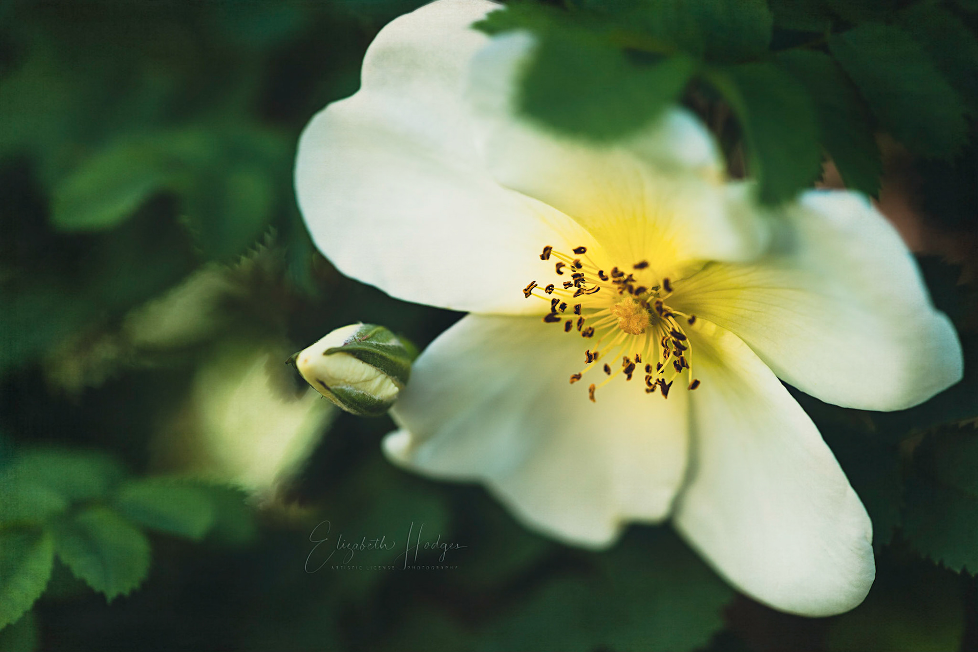 "Rest is not idleness, and to lie sometimes on the grass on a summer day listening to the murmur of water, or watching the clouds float across the sky, is hardly a waste of time." —John Lubbock