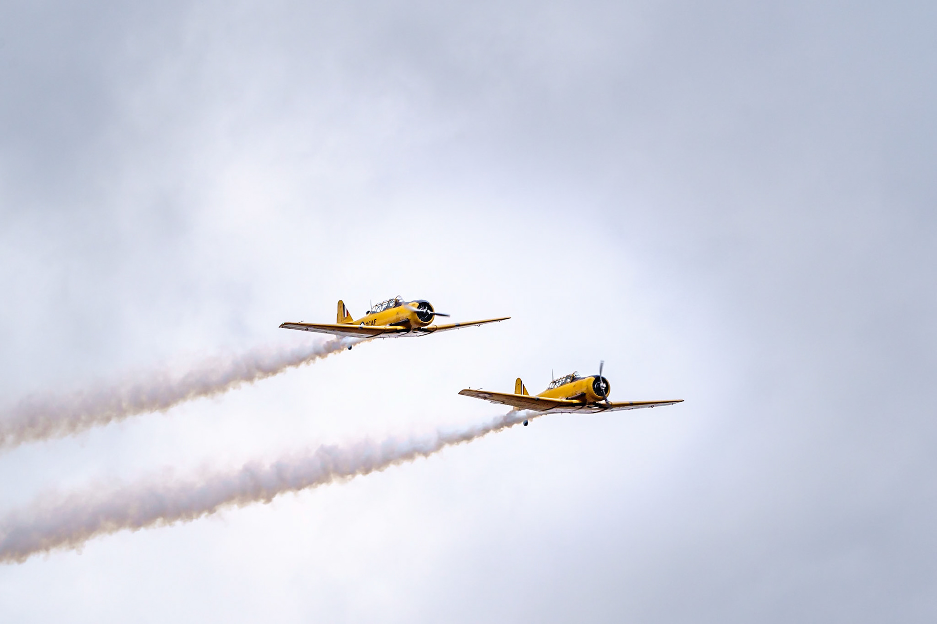 Yellow Thunder - Harvard