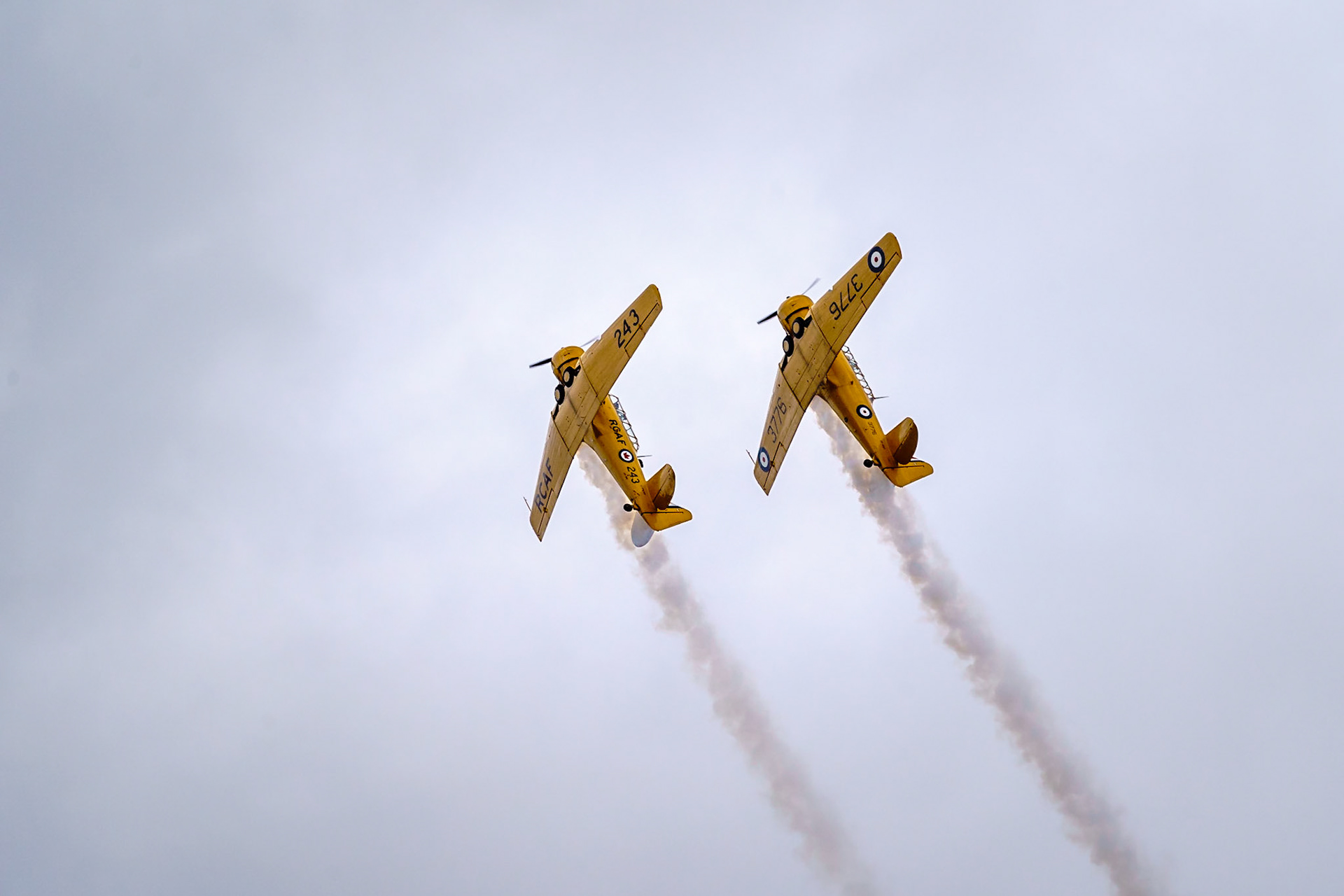 Yellow Thunder - Harvard