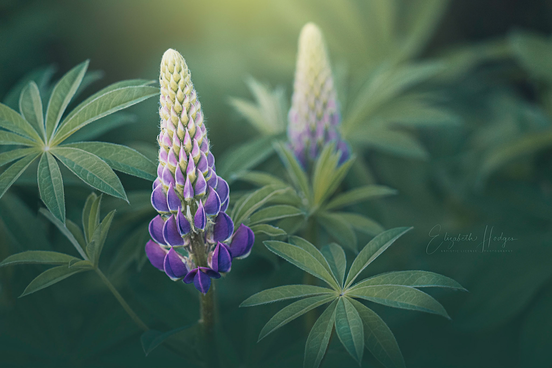 “The past is a place of reference, not a place of residence; the past is a place of learning, not a place of living.” ― Roy T. Bennett