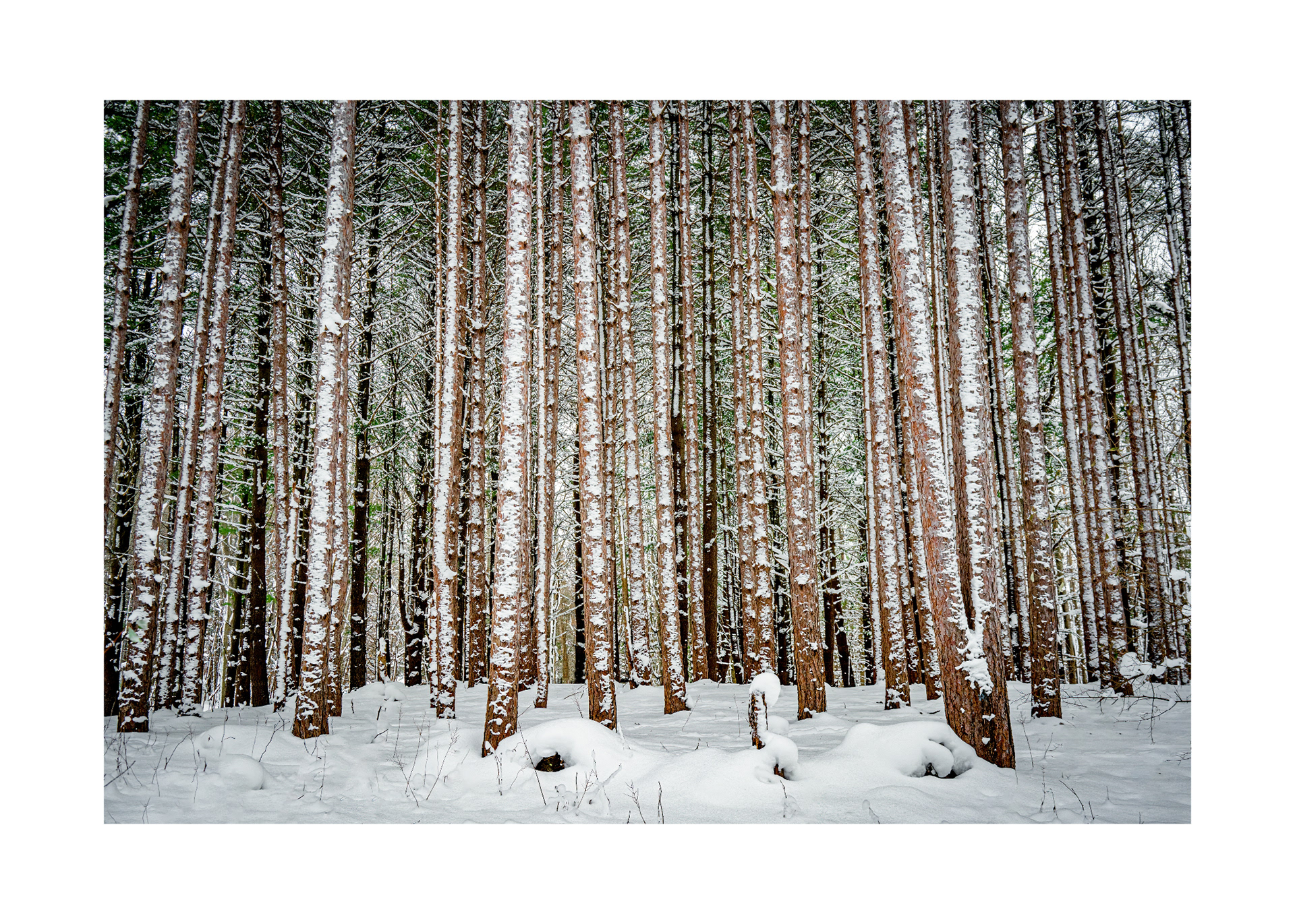 16H-white