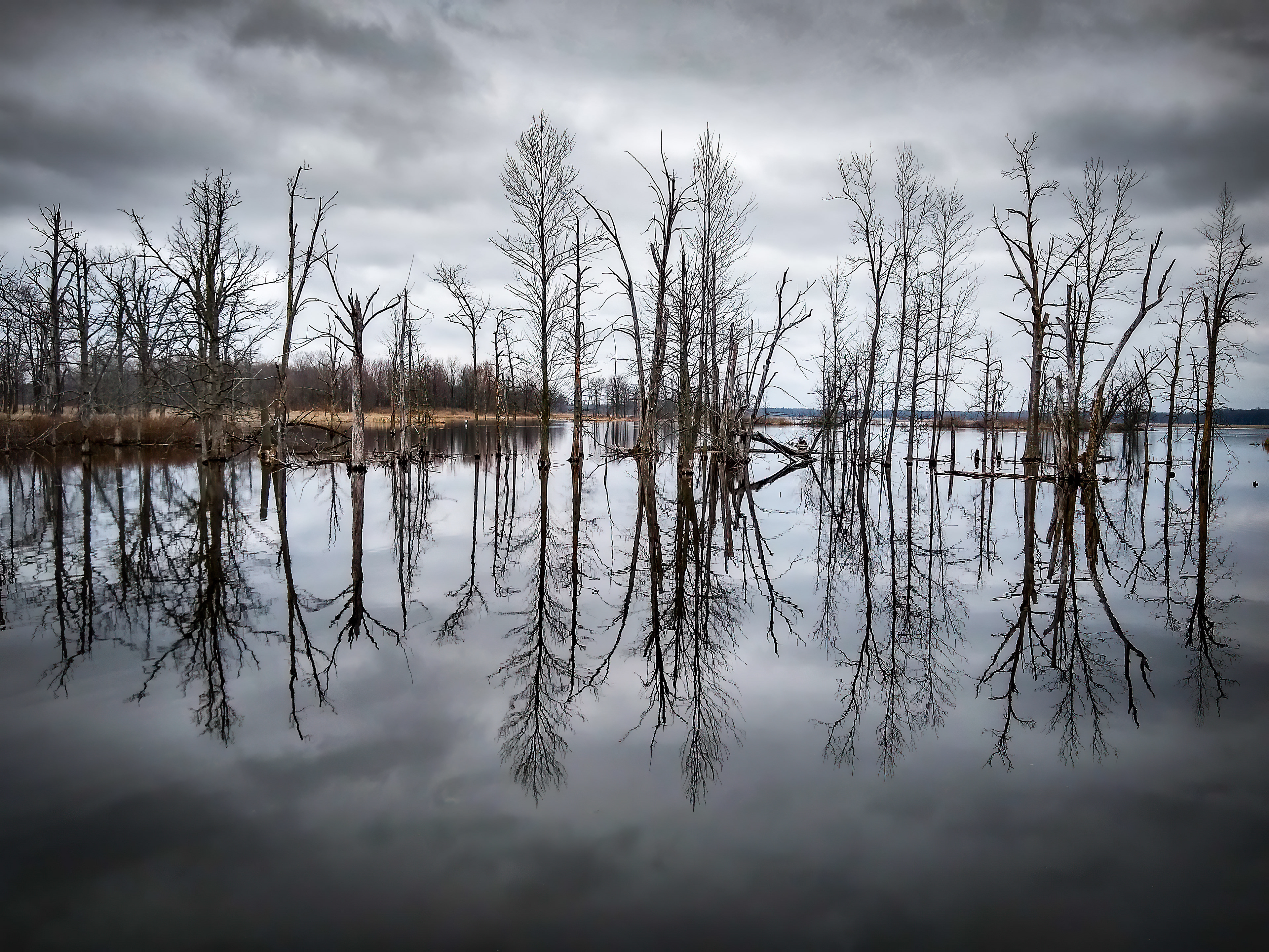 Iroquois National Wildlife Refuge- Basom