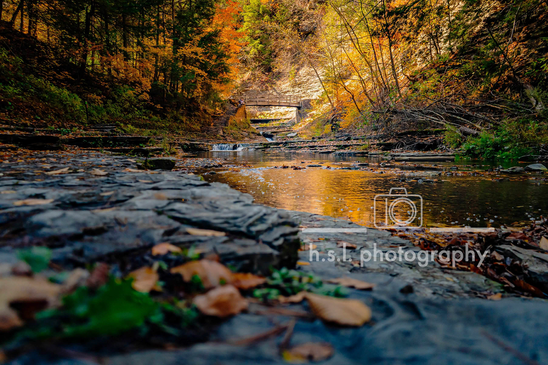 Stonybrook State Park, New York
