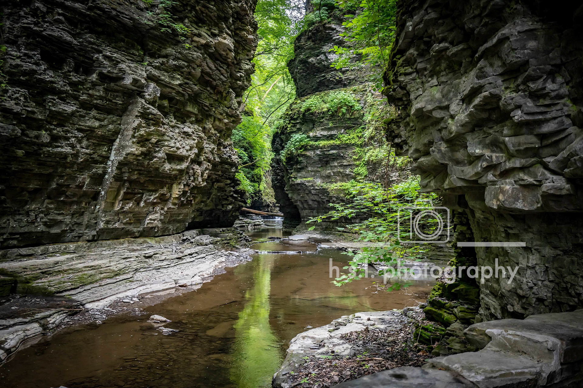 Watkins Glen State Park