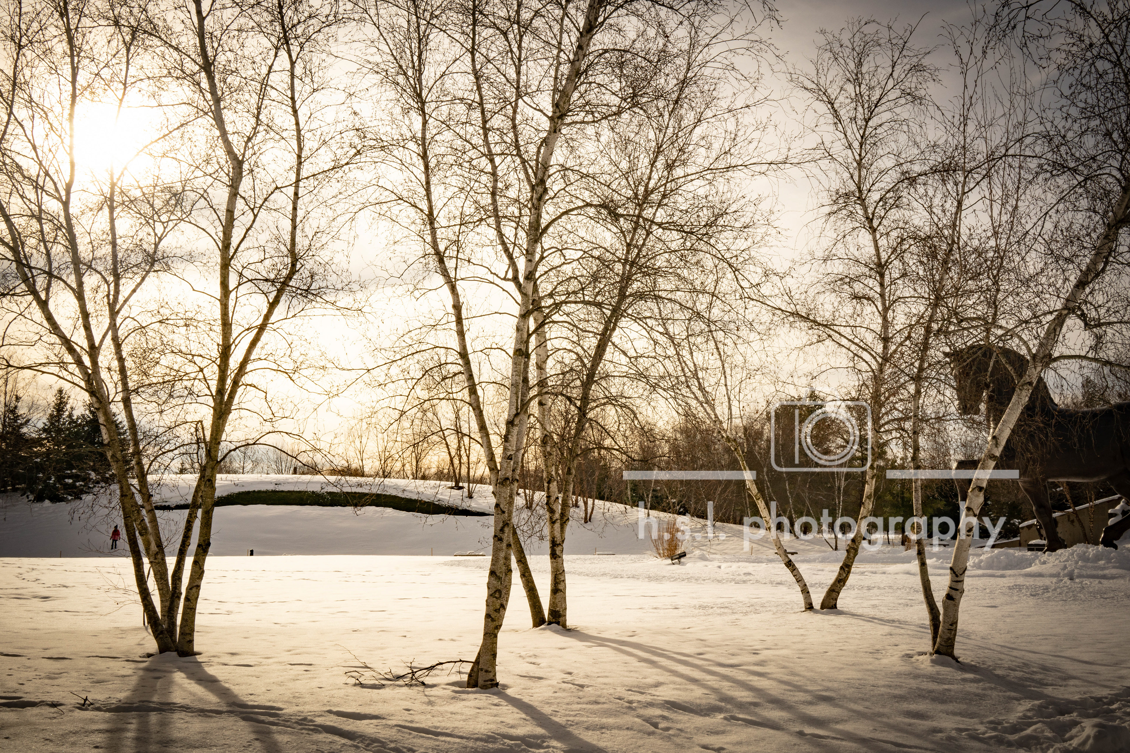 Frederick Meijer Gardens & Sculpture Park, Michigan