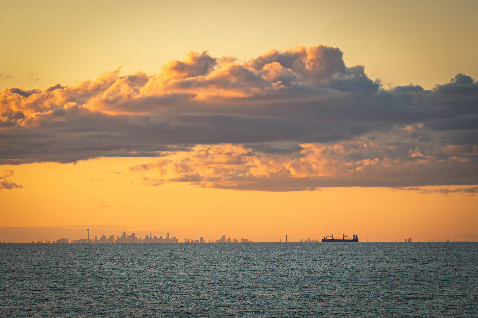 Toronto View- Youngstown