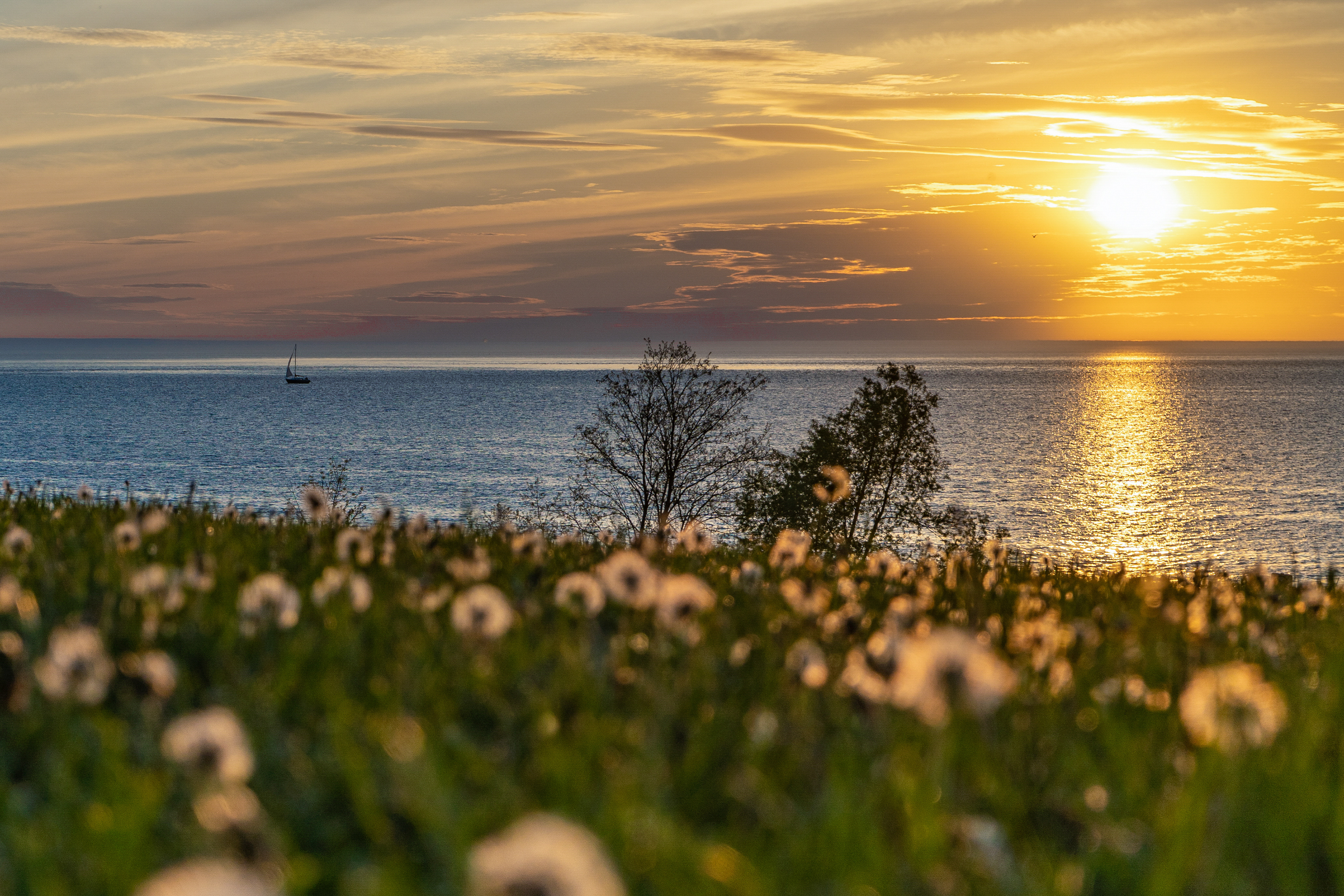 Lake Ontario Summer View- Youngstown