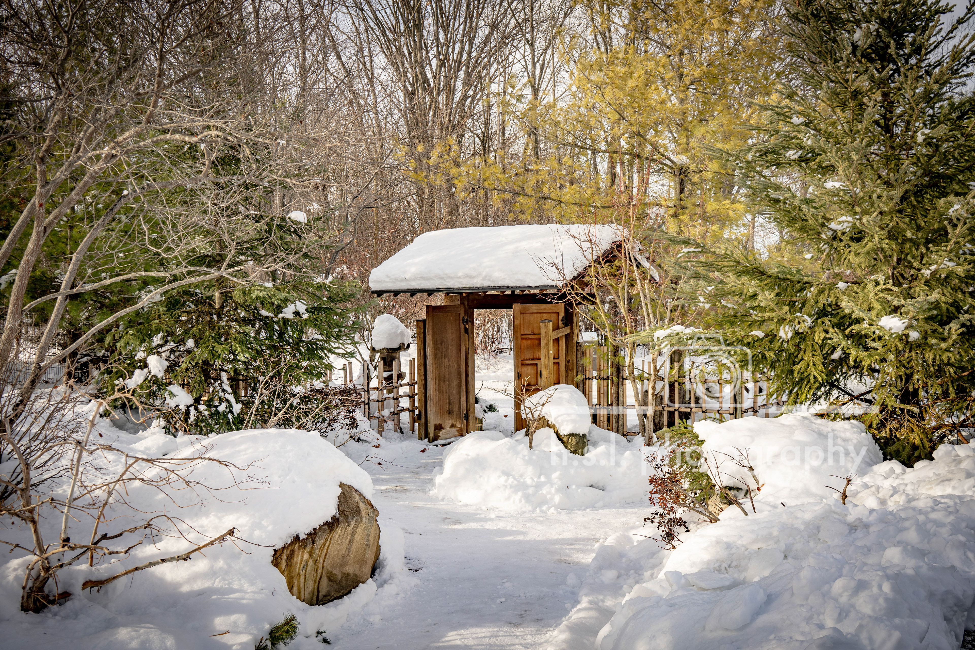 Frederick Meijer Gardens & Sculpture Park, Michigan