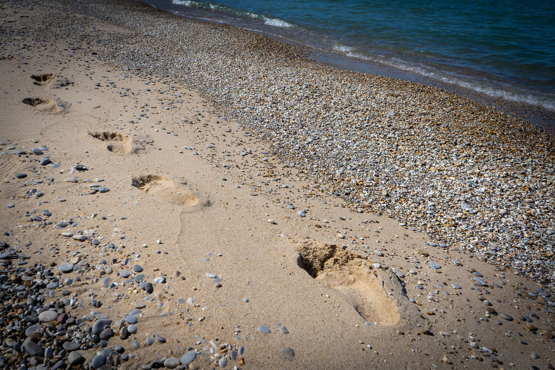 Glen Arbor Beach