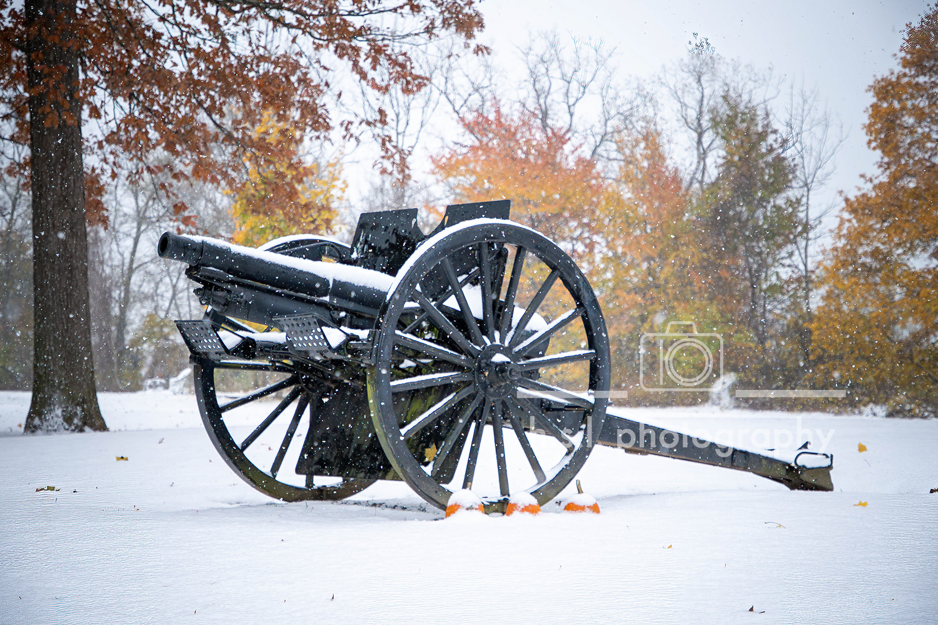 Canon- Fort Niagara State Park