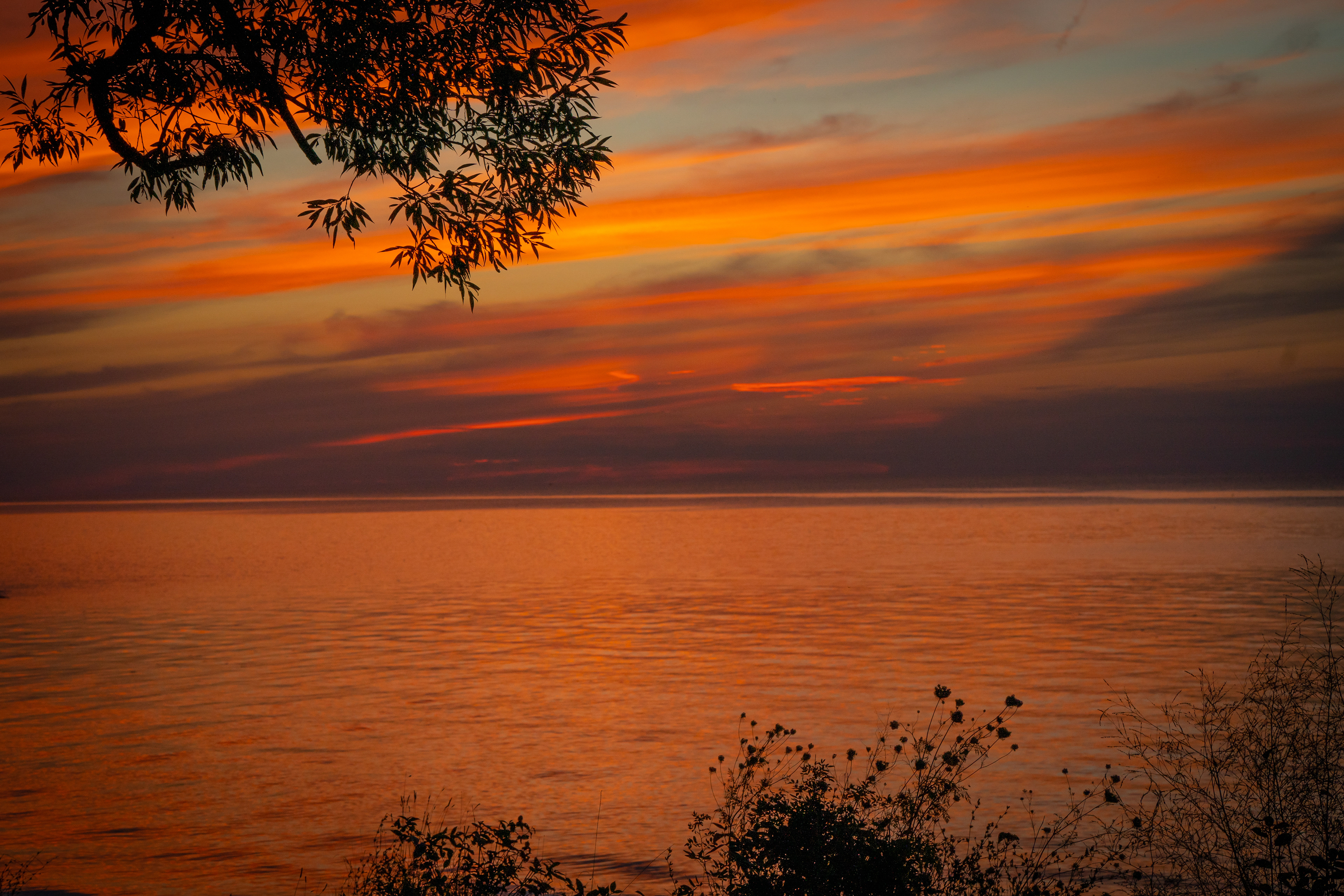 Wilson-Tuscarora State Park Sunset- Wilson