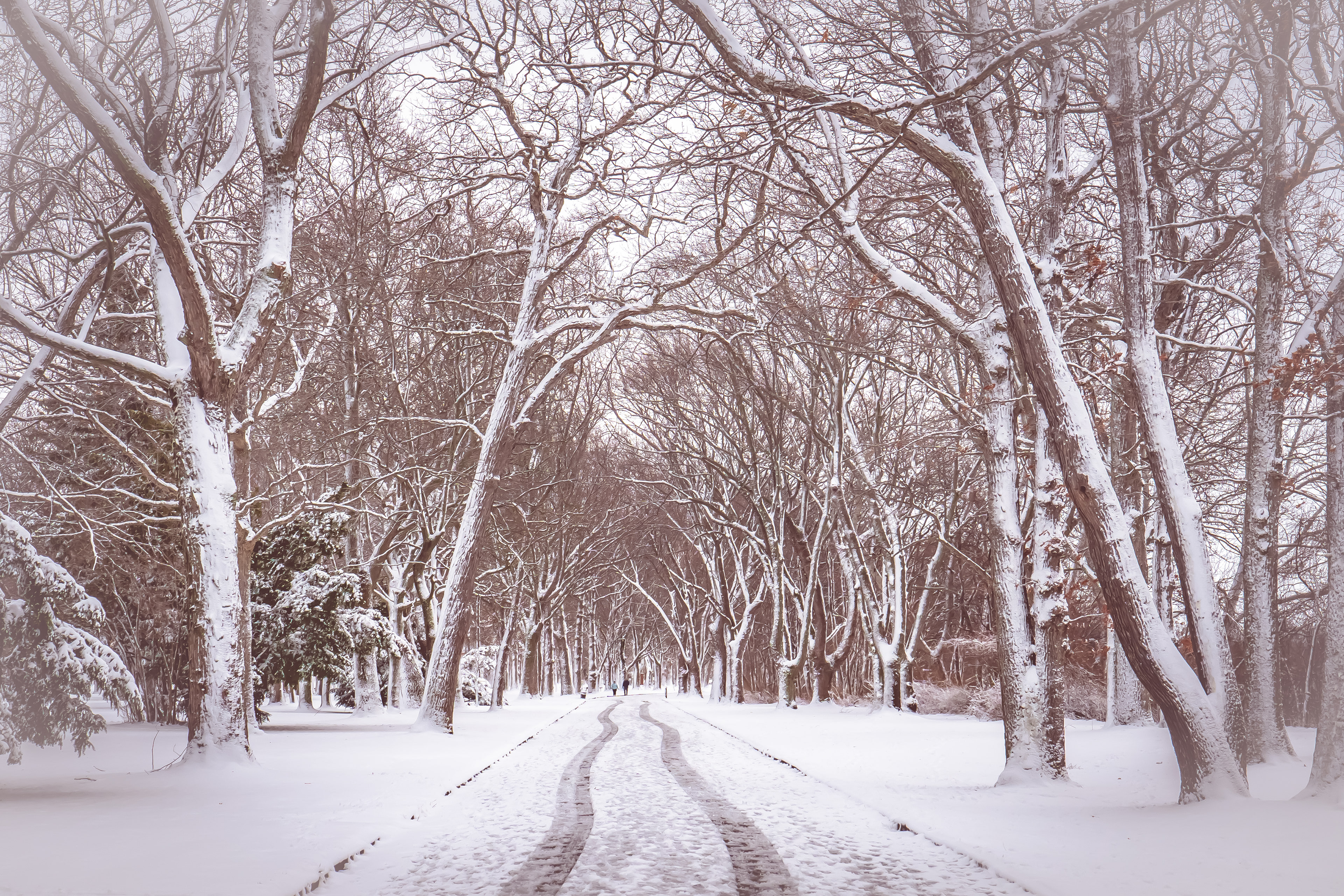 Snowy Fort Niagara Walking Path