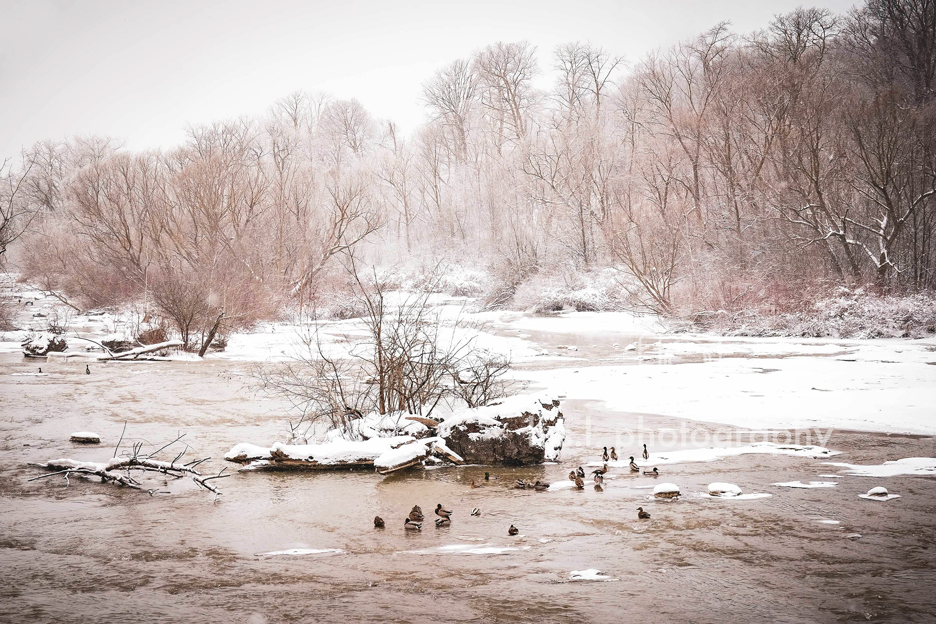 Niagara Falls State Park