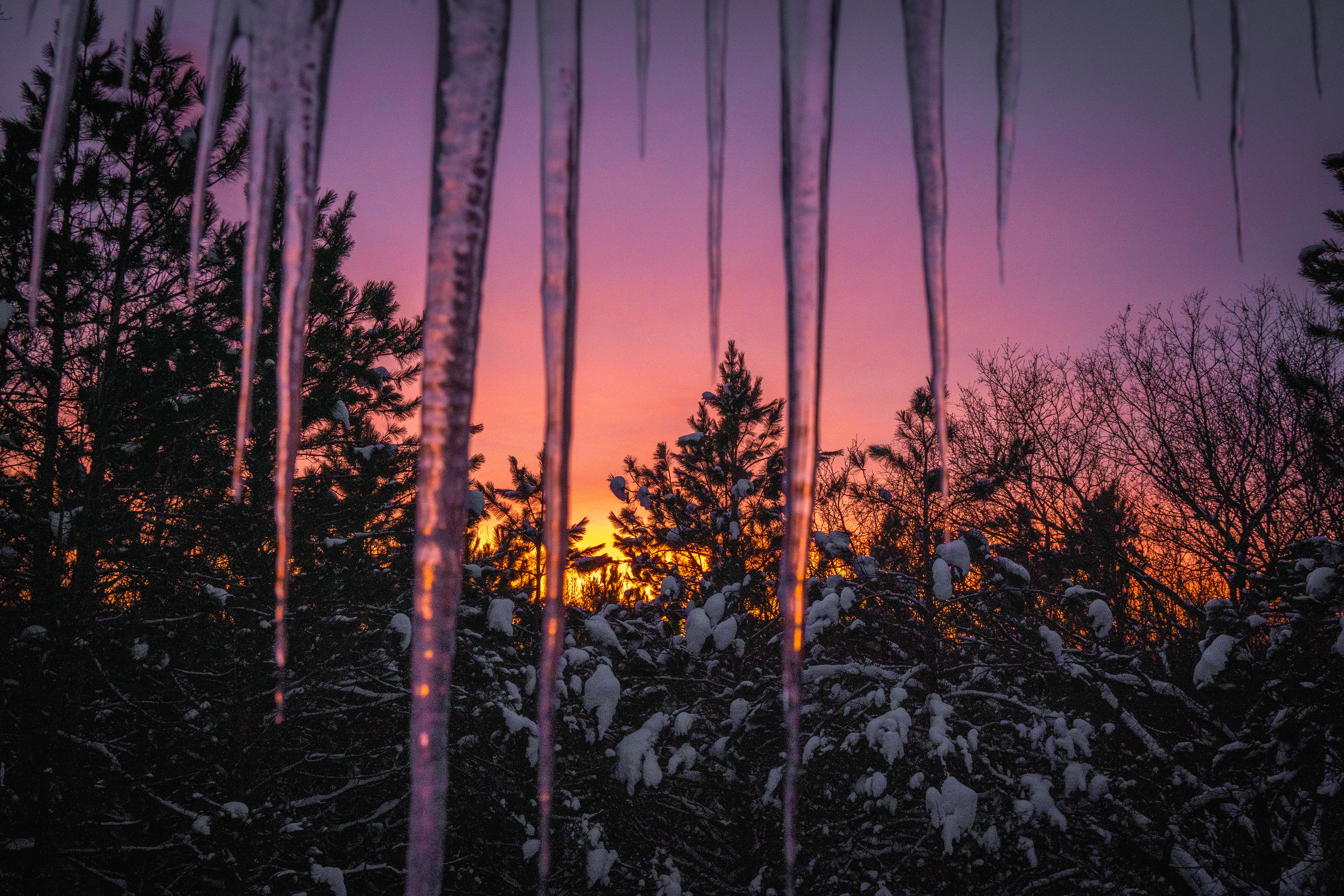 Icicle Sunset- Ada