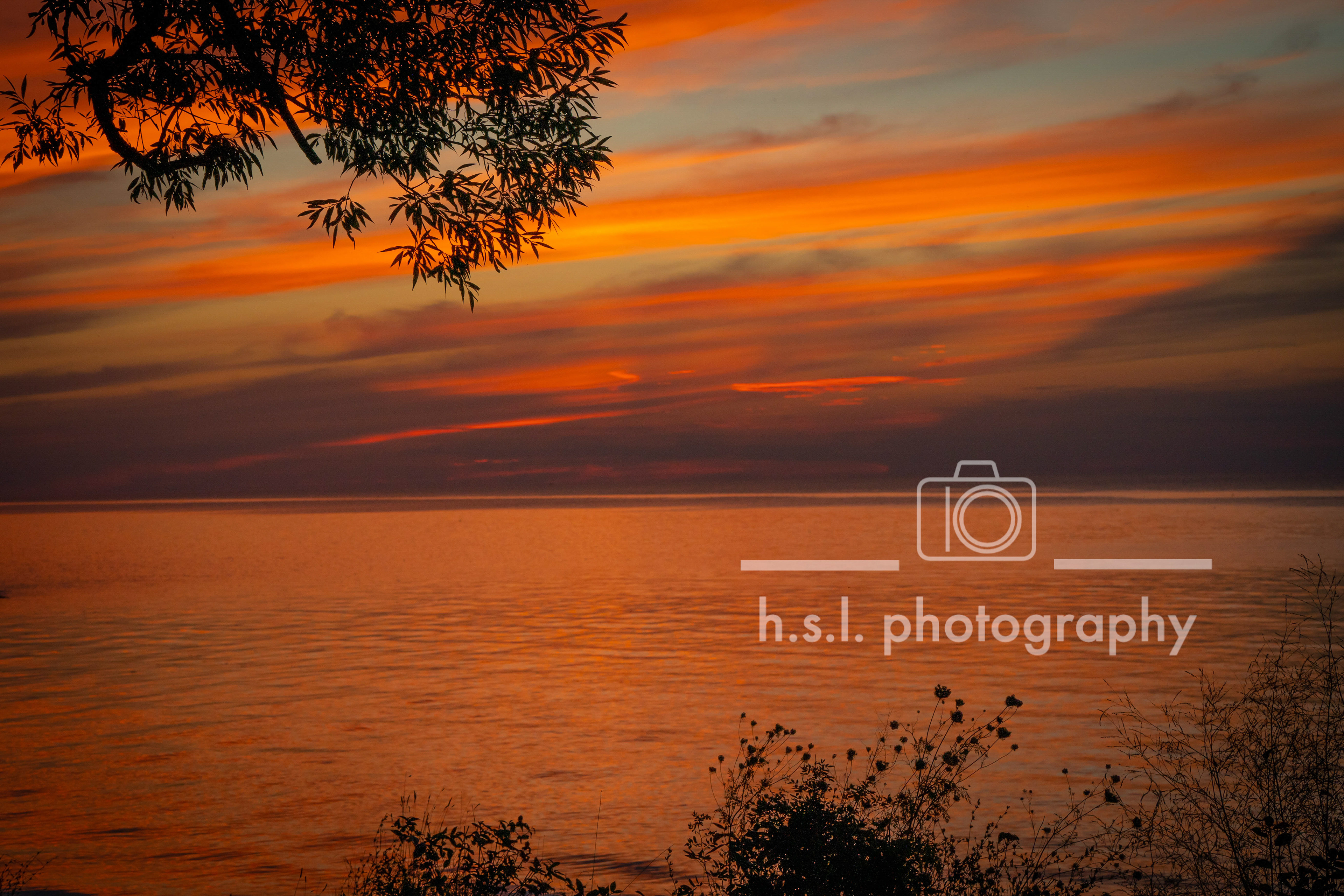 Wilson-Tuscarora State Park