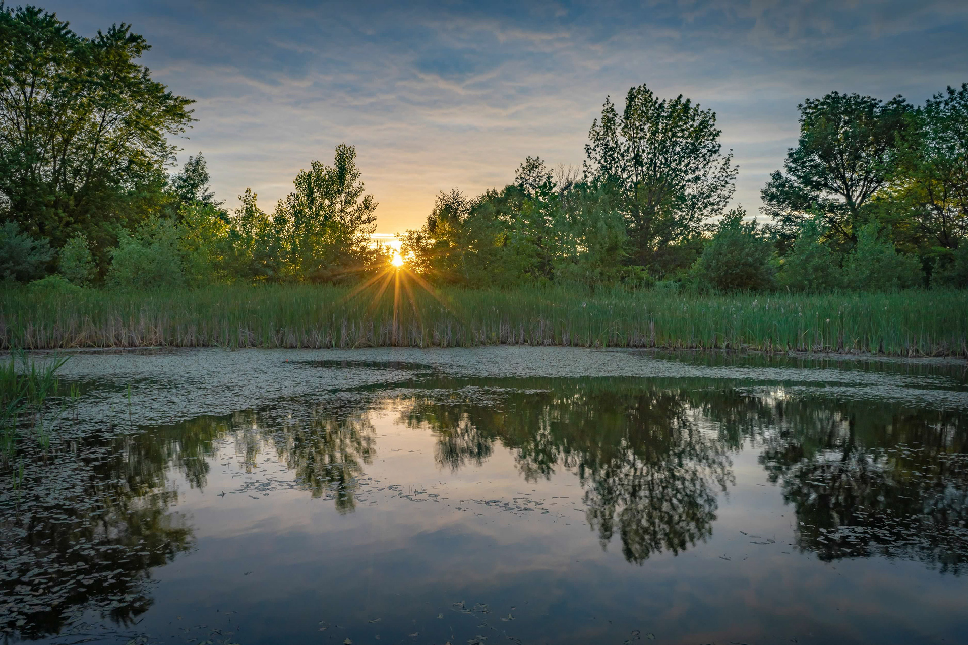 Joseph Davis Park Pond- Youngstown