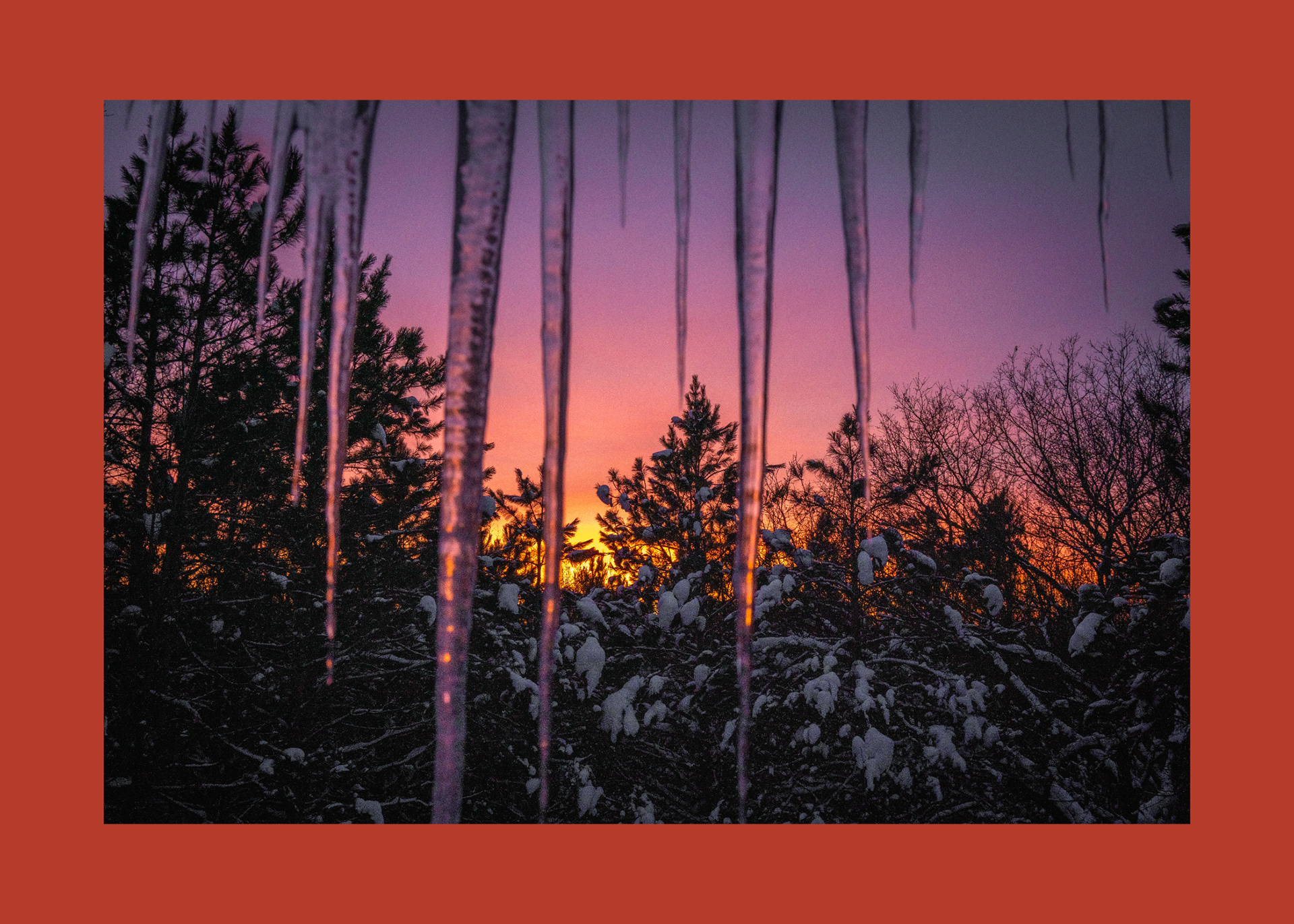 29H-red