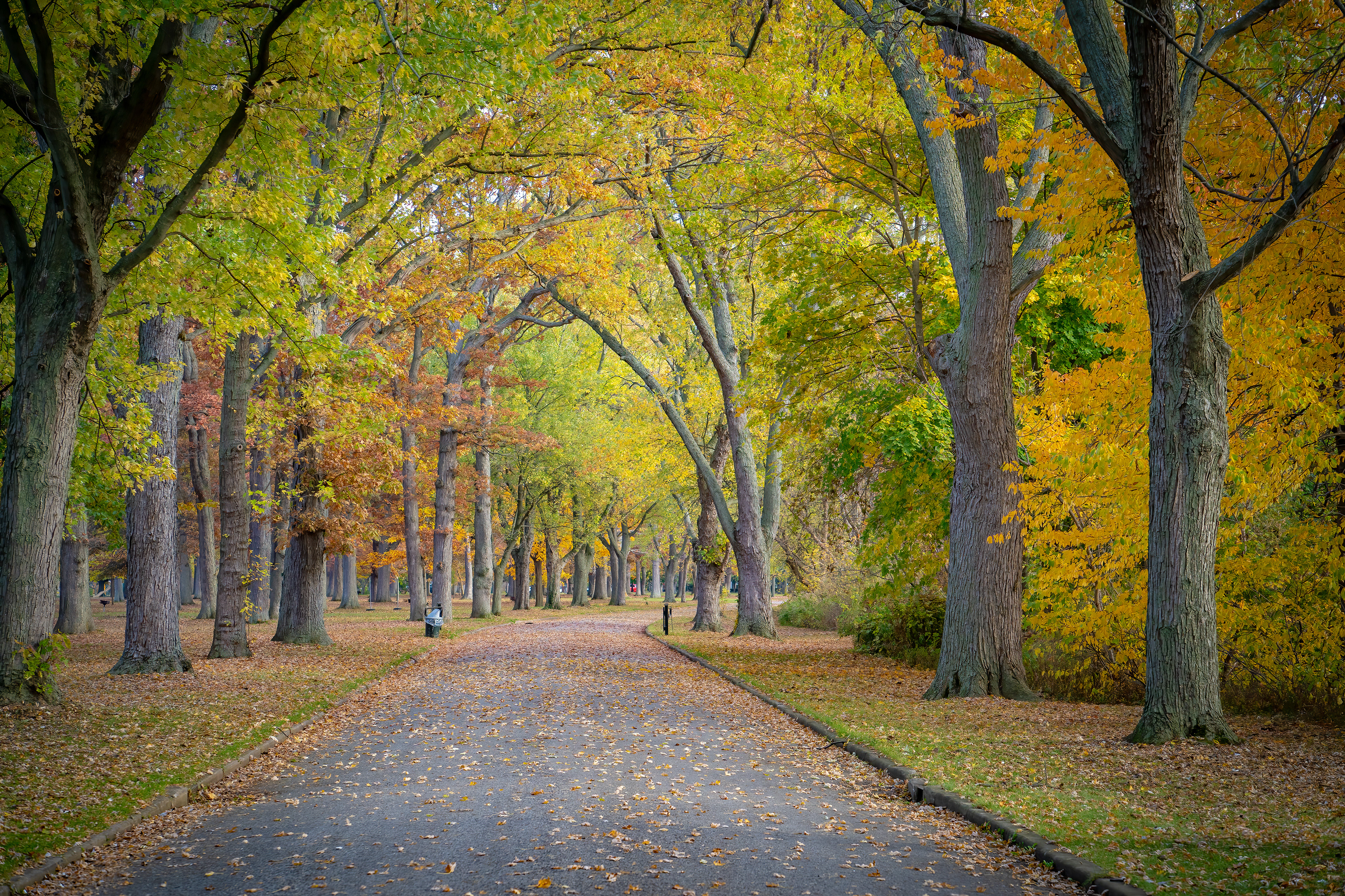 Fort Niagara State Park Walking Path- Youngstown