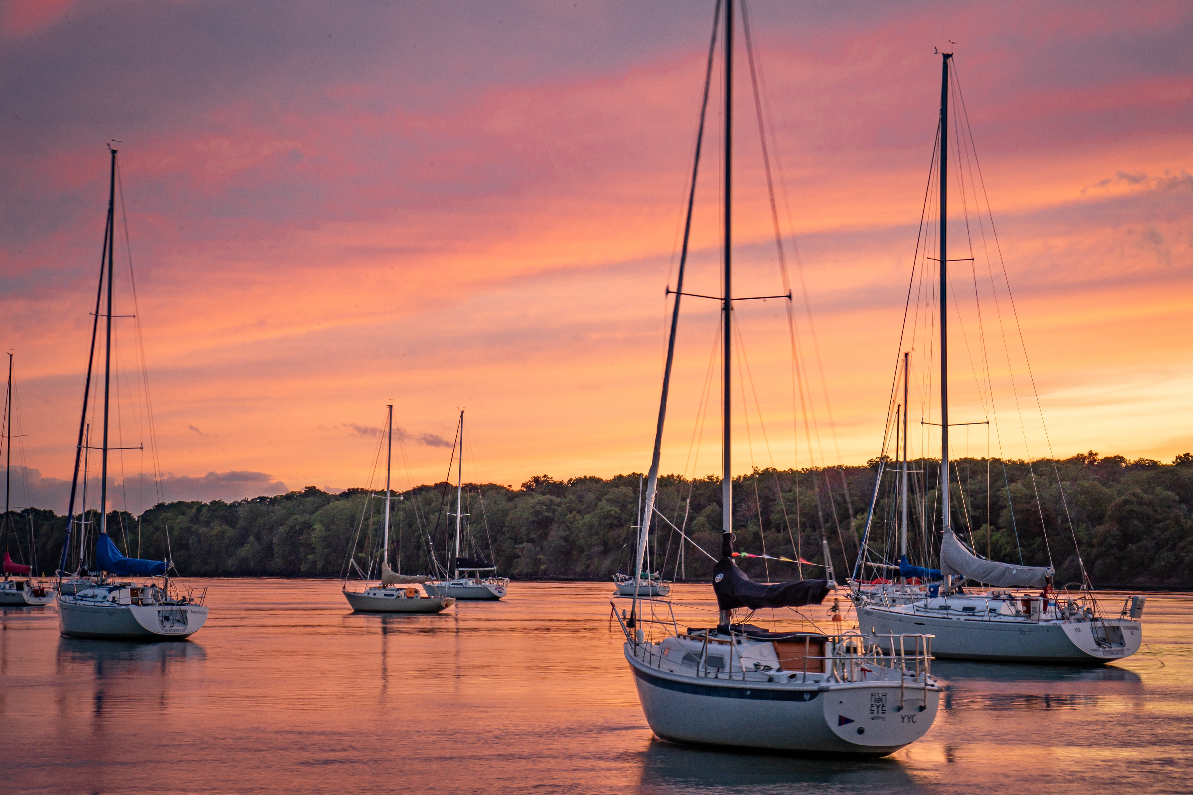 Sunset Sail 3- Youngstown