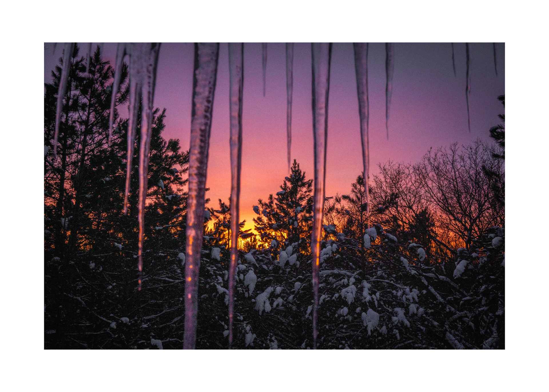 29H-white