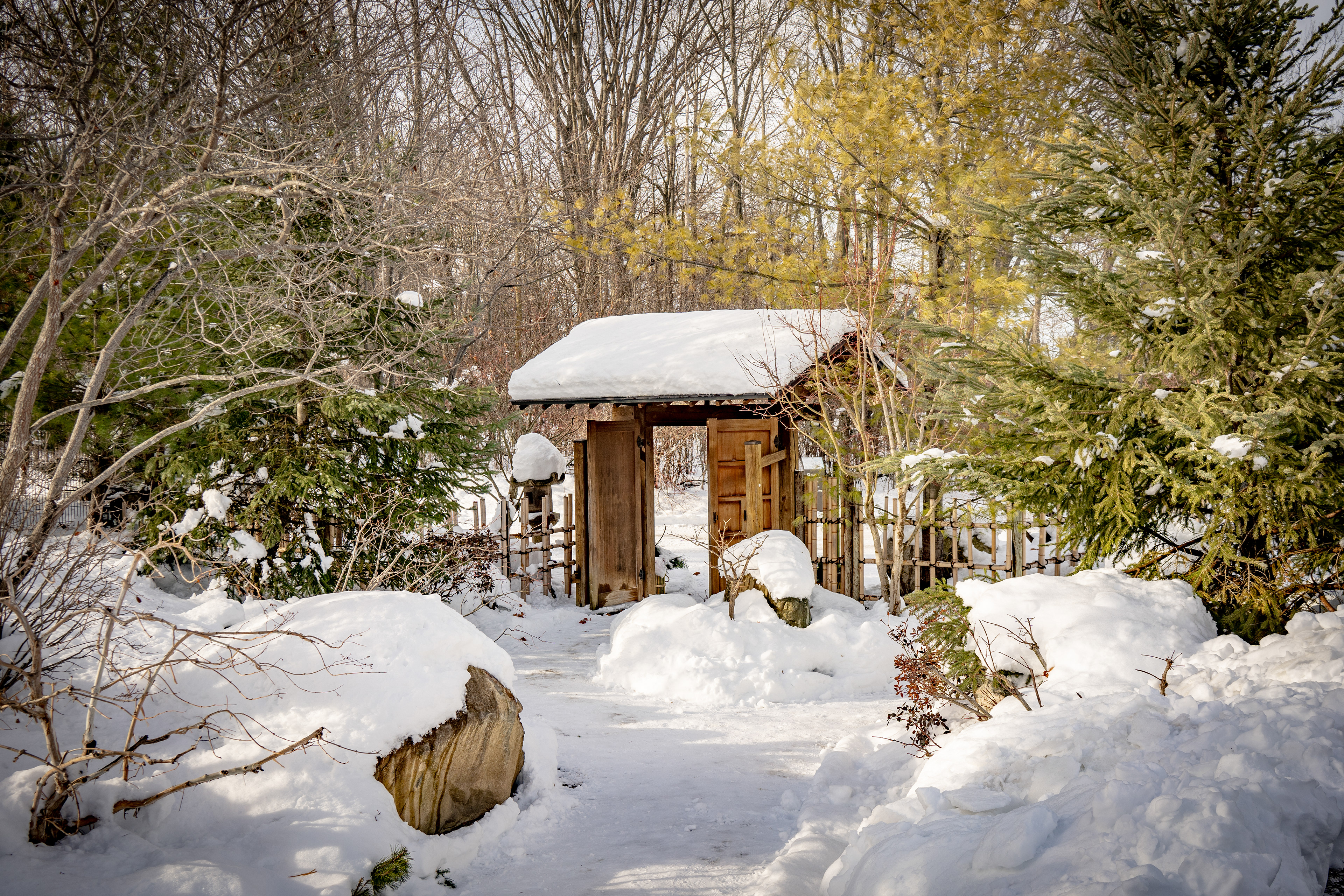 Frederick Meijer Botanical Gardens Japanese Garden- Grand Rapids