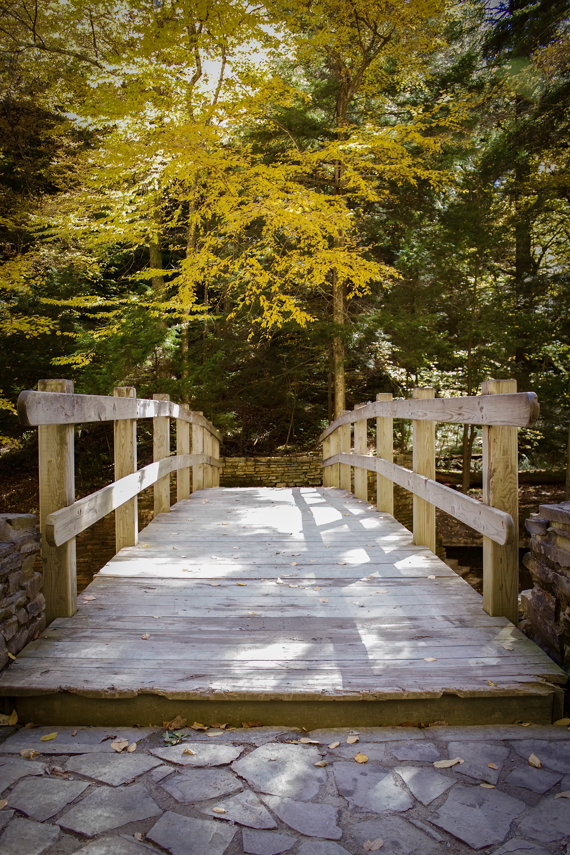 Stonybrook State Park 2- Dansville