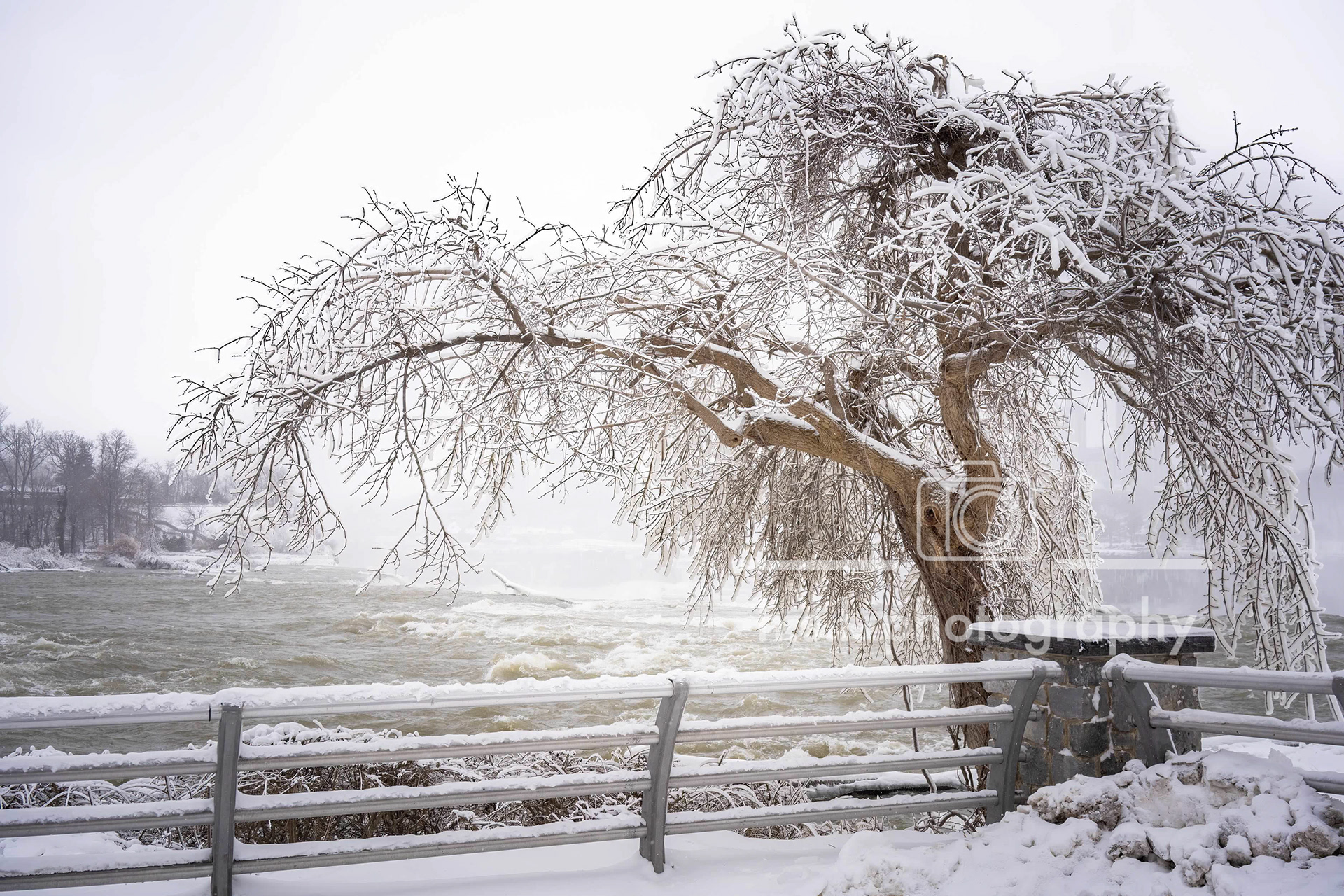 Niagara Falls State Park