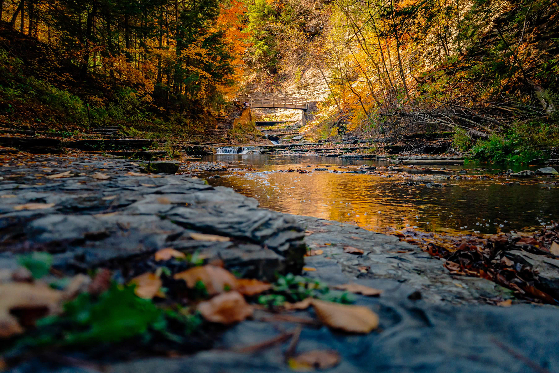 Stonybrook State Park 1- Dansville
