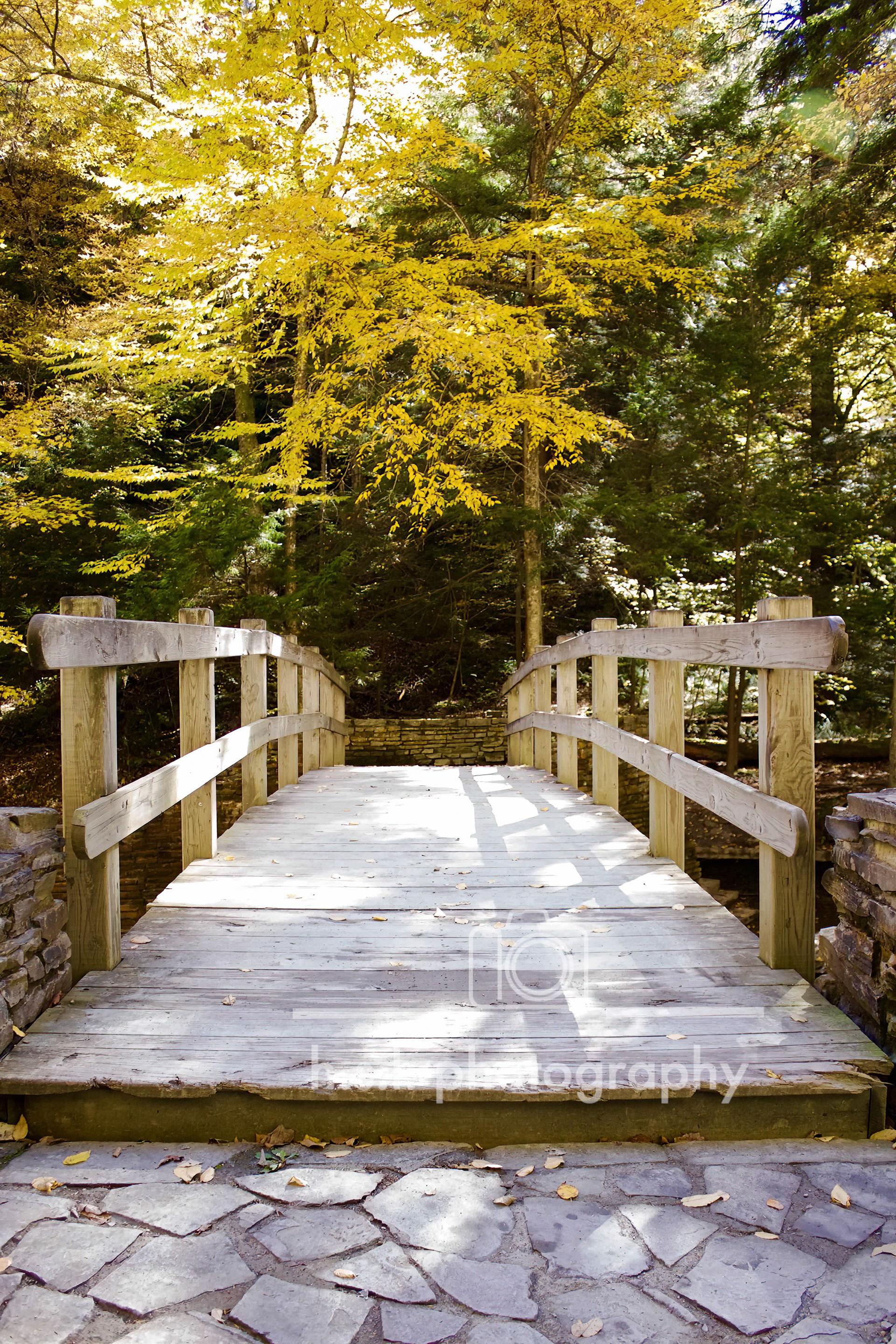 Stonybrook State Park, New York