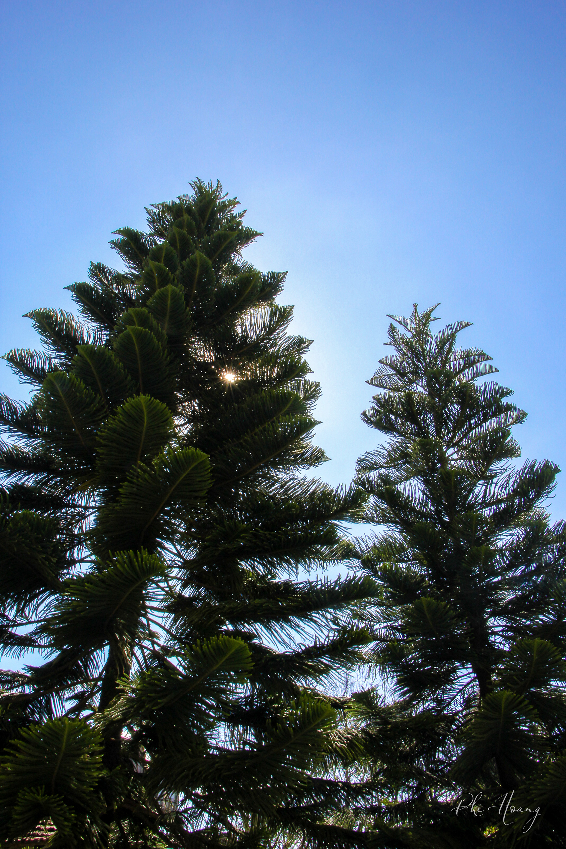 Get this @ https://go.phi.me/1332512201