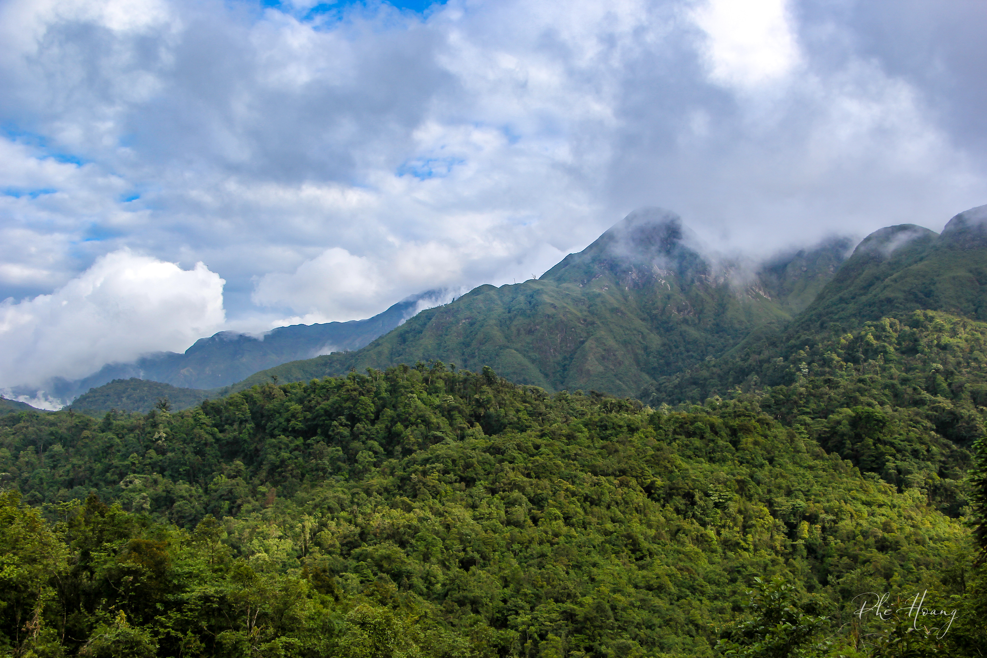 Get this @ https://go.phi.me/1356675194