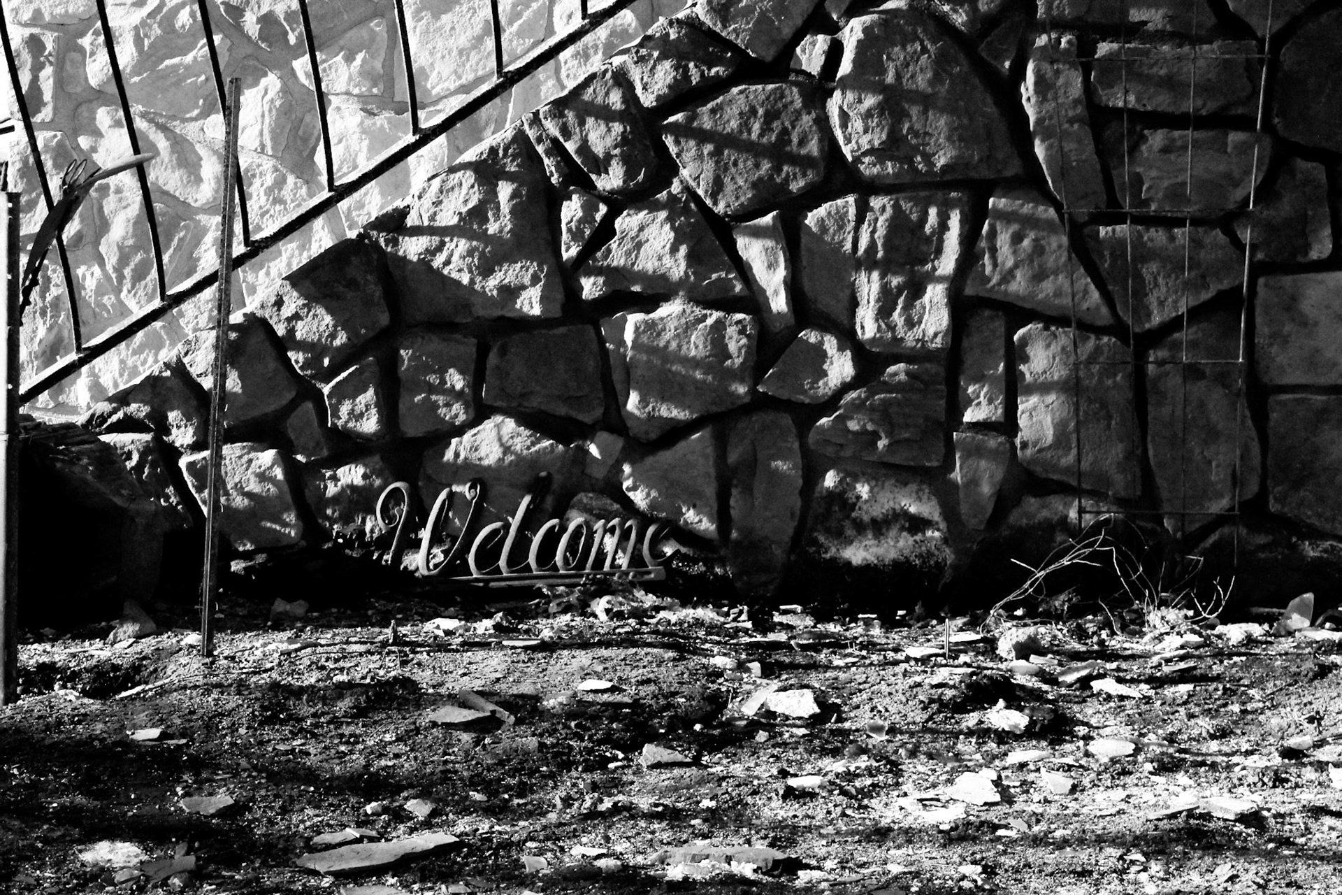 "Home" Featured in Gallerium “Extinction” exhibit